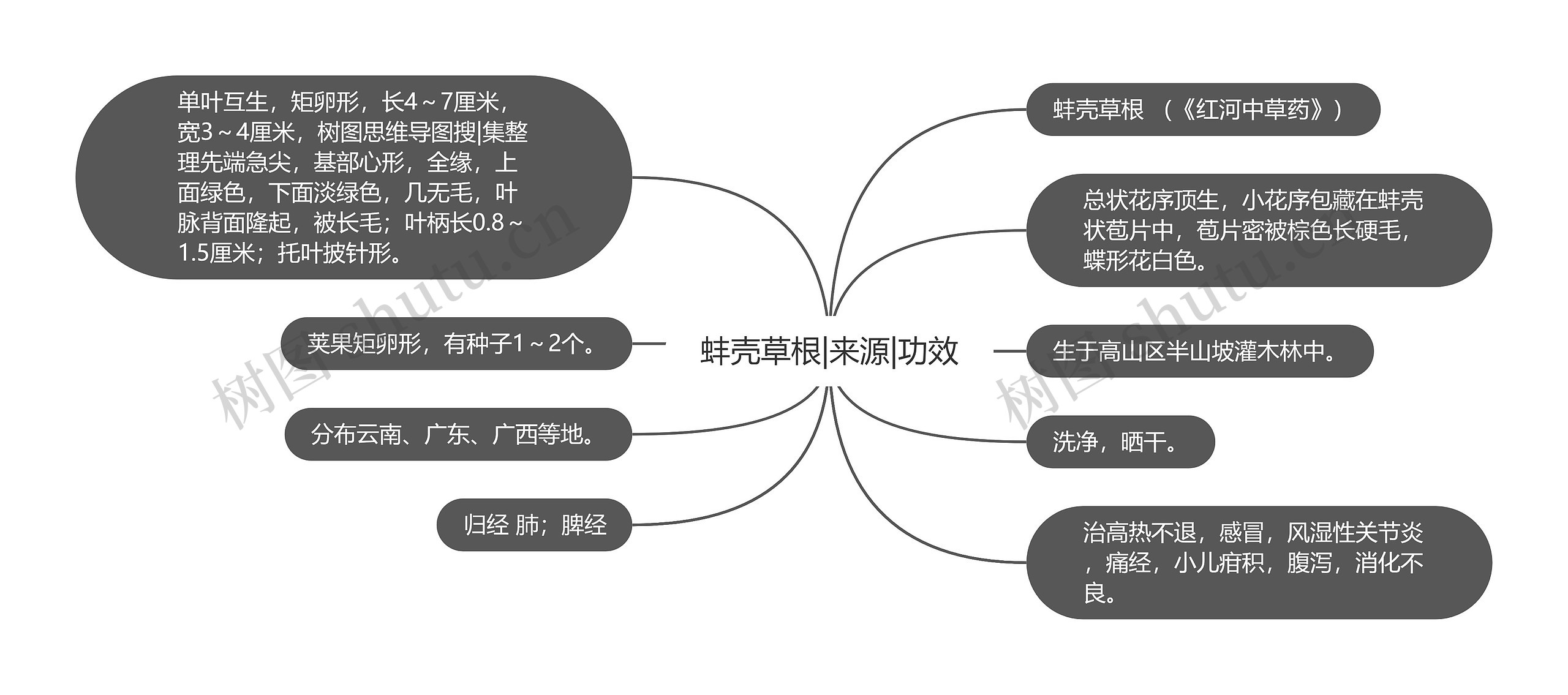 蚌壳草根|来源|功效思维导图