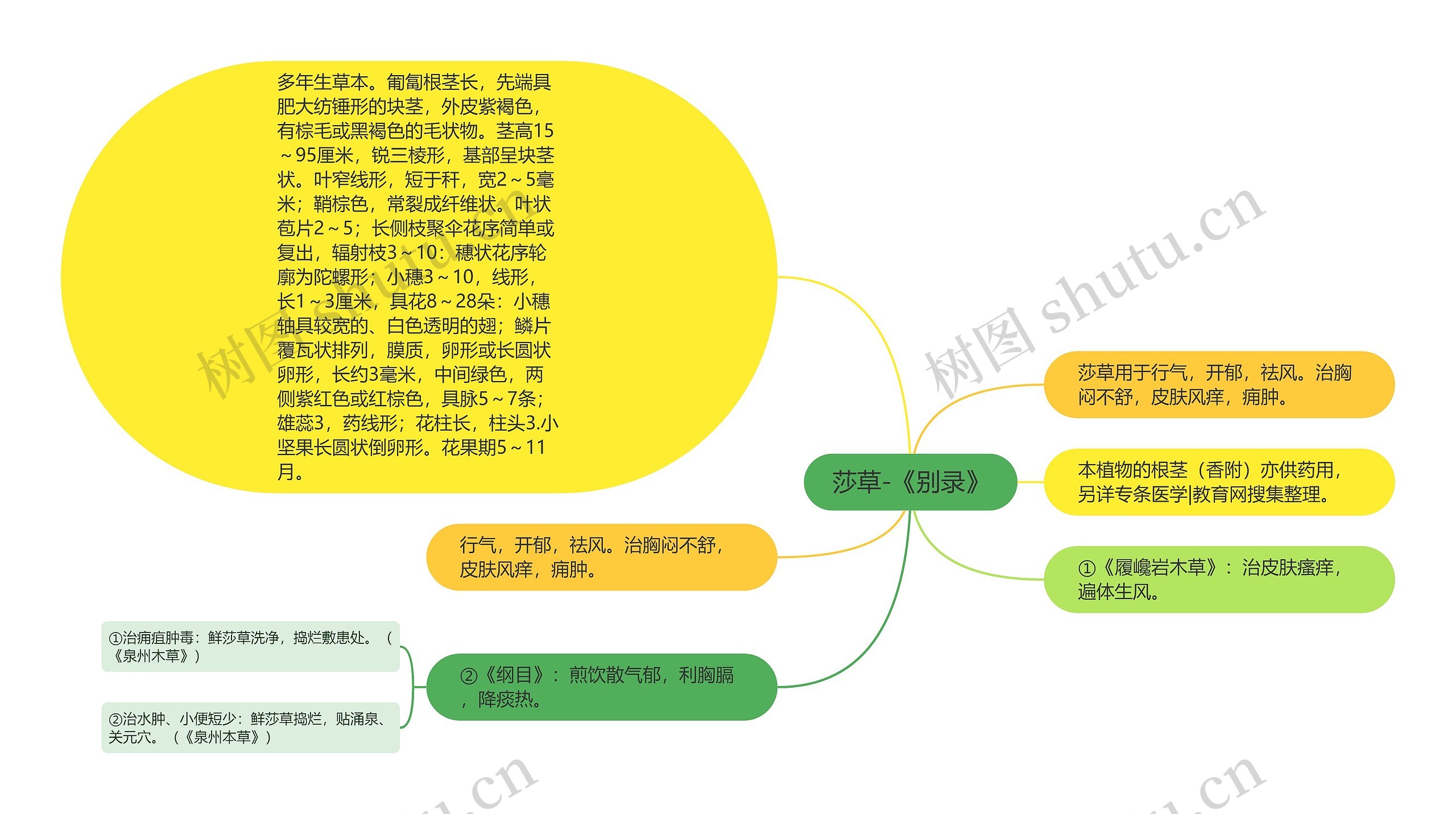 莎草-《别录》思维导图