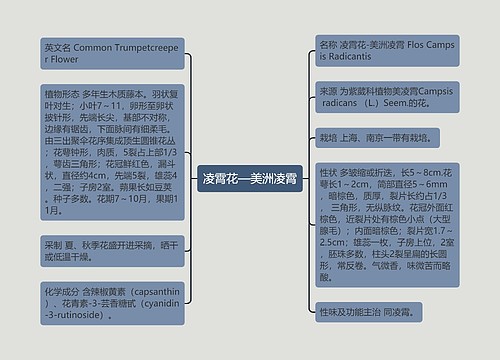 凌霄花—美洲凌霄思维导图