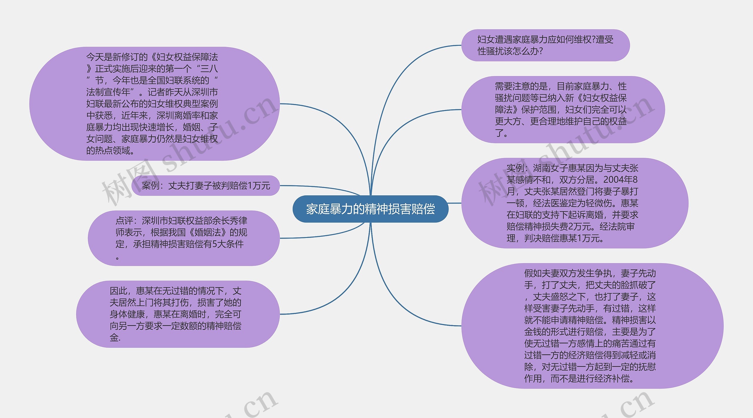 家庭暴力的精神损害赔偿思维导图