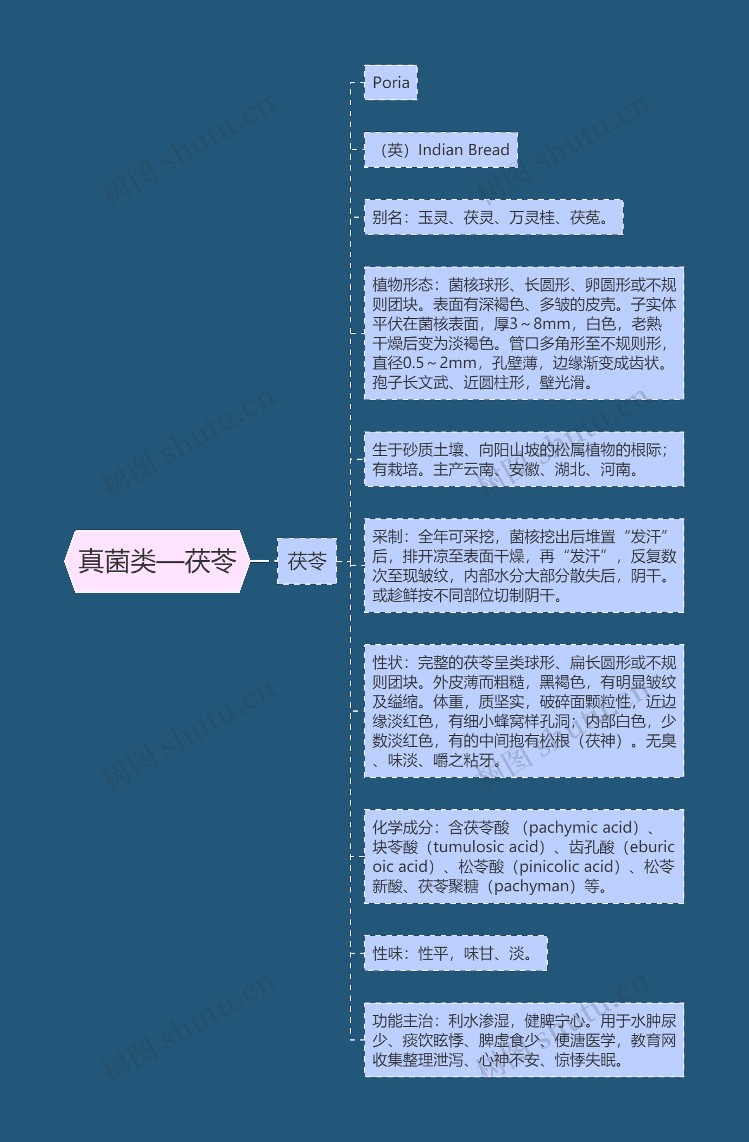 真菌类—茯苓 真菌类—茯苓