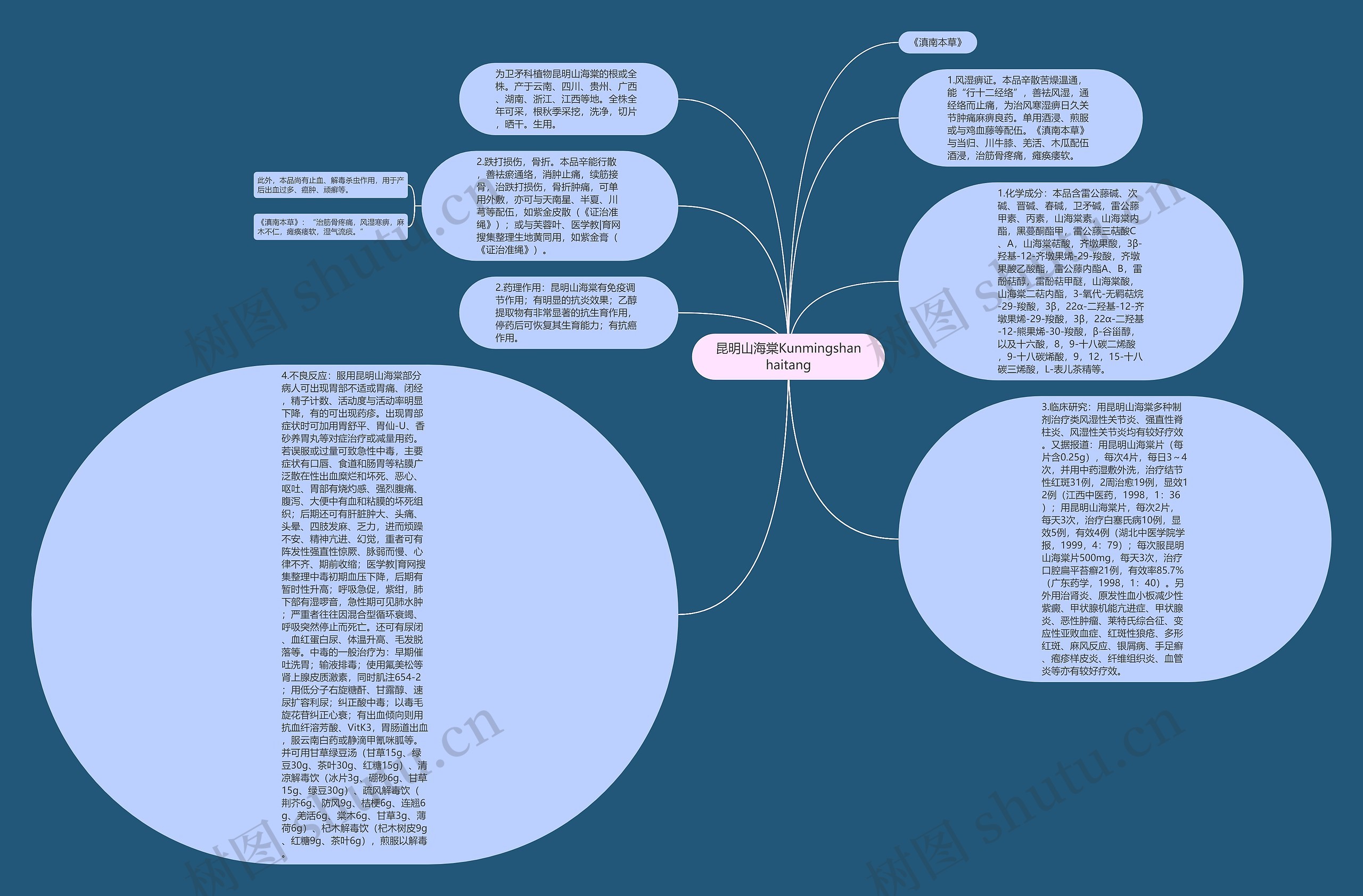 昆明山海棠Kunmingshanhaitang思维导图