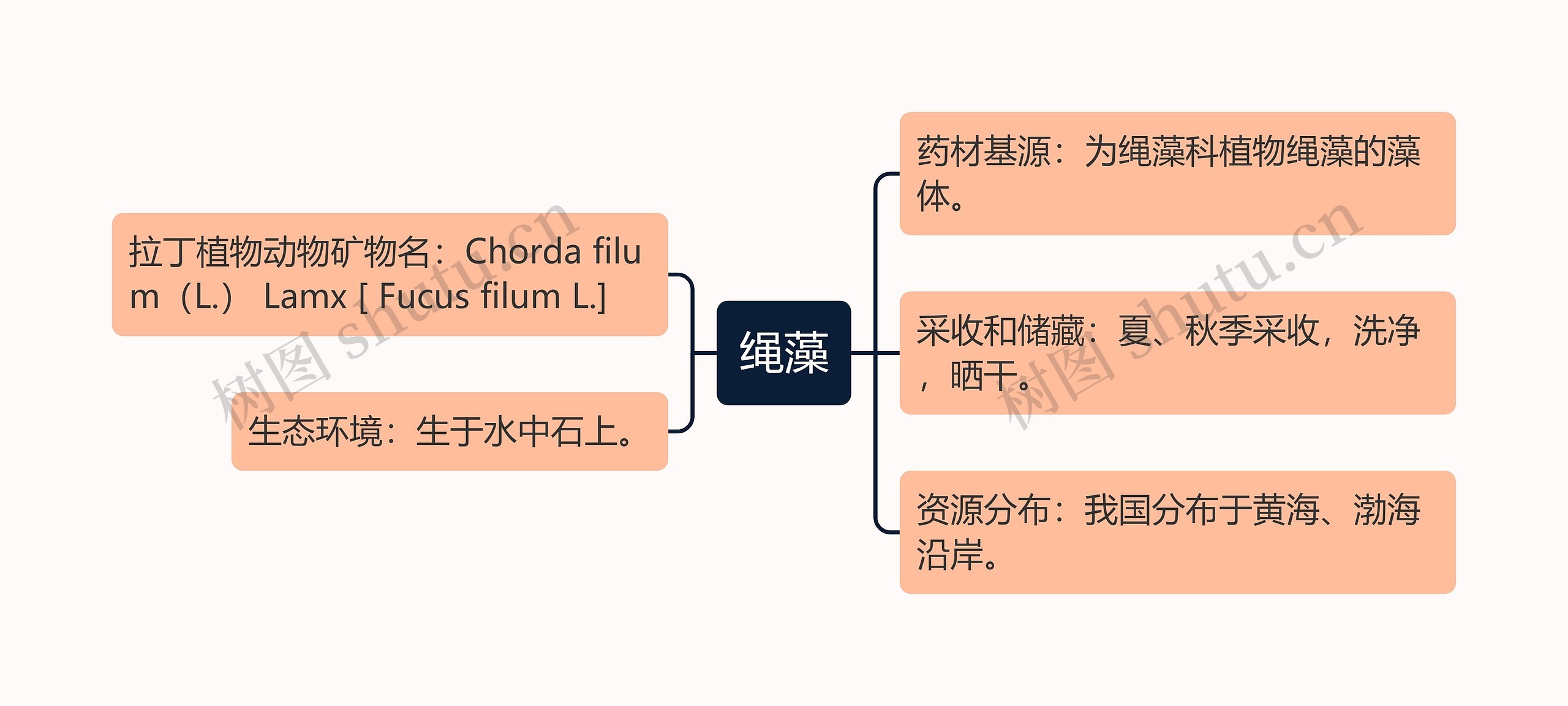 绳藻