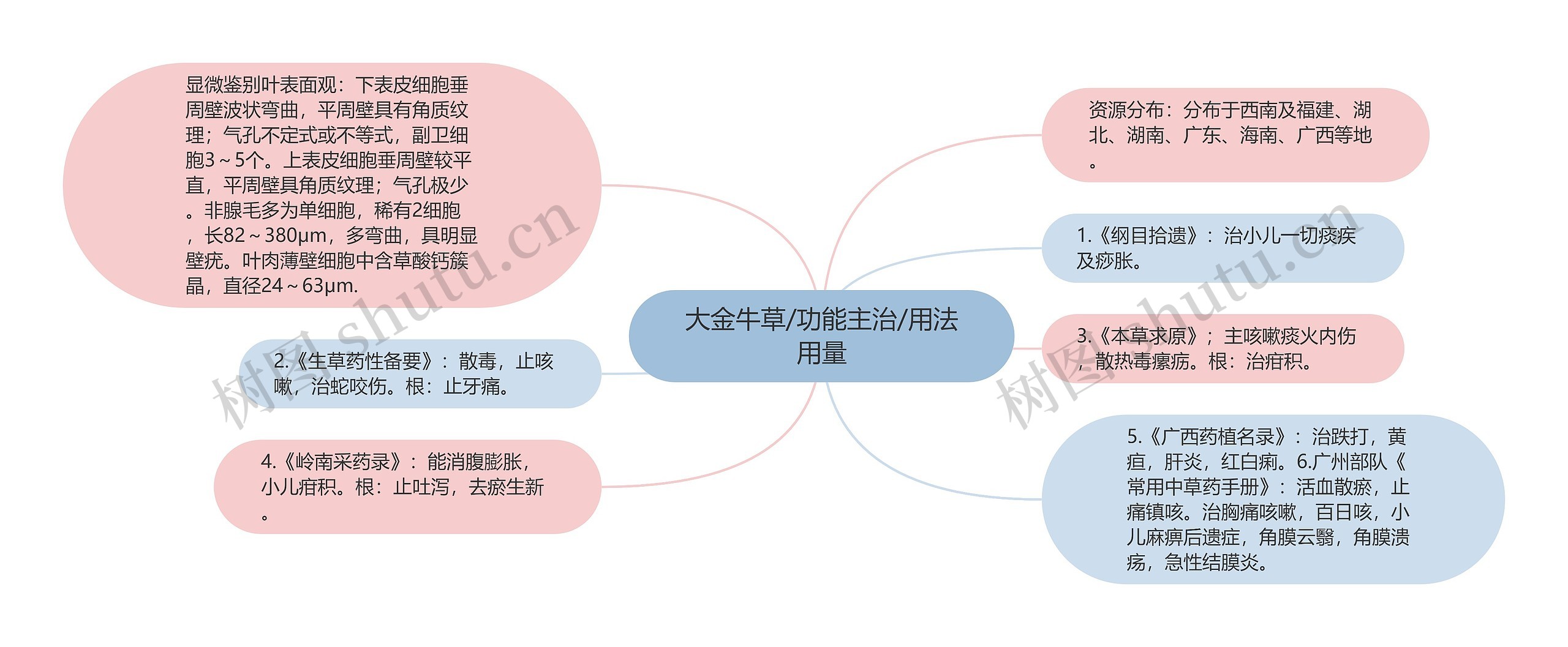 大金牛草/功能主治/用法用量思维导图