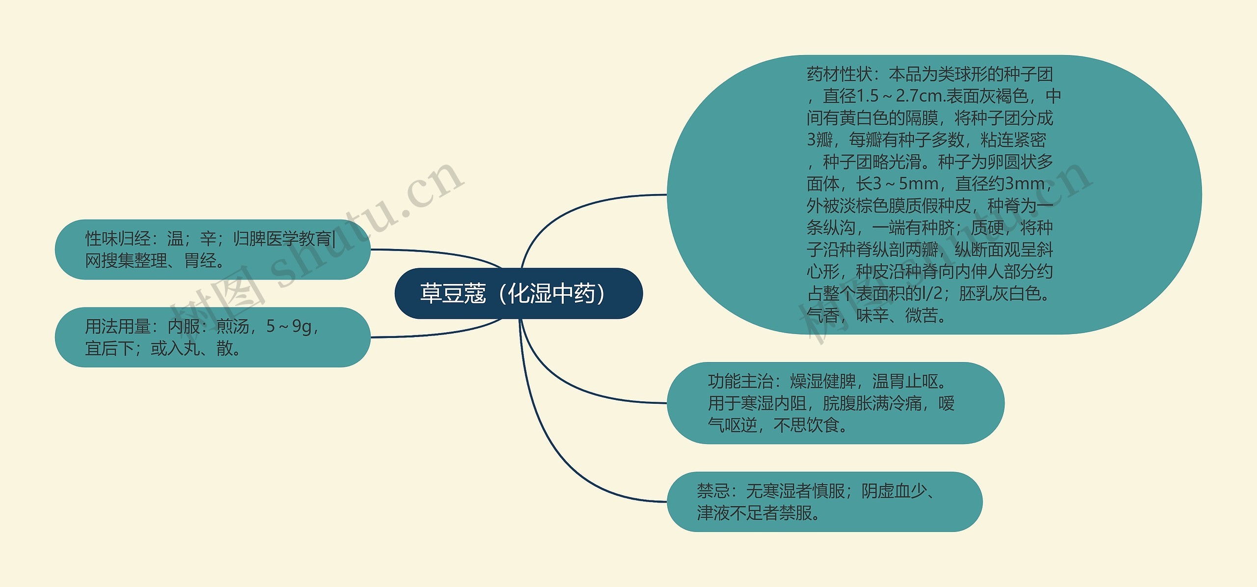 草豆蔻（化湿中药）思维导图