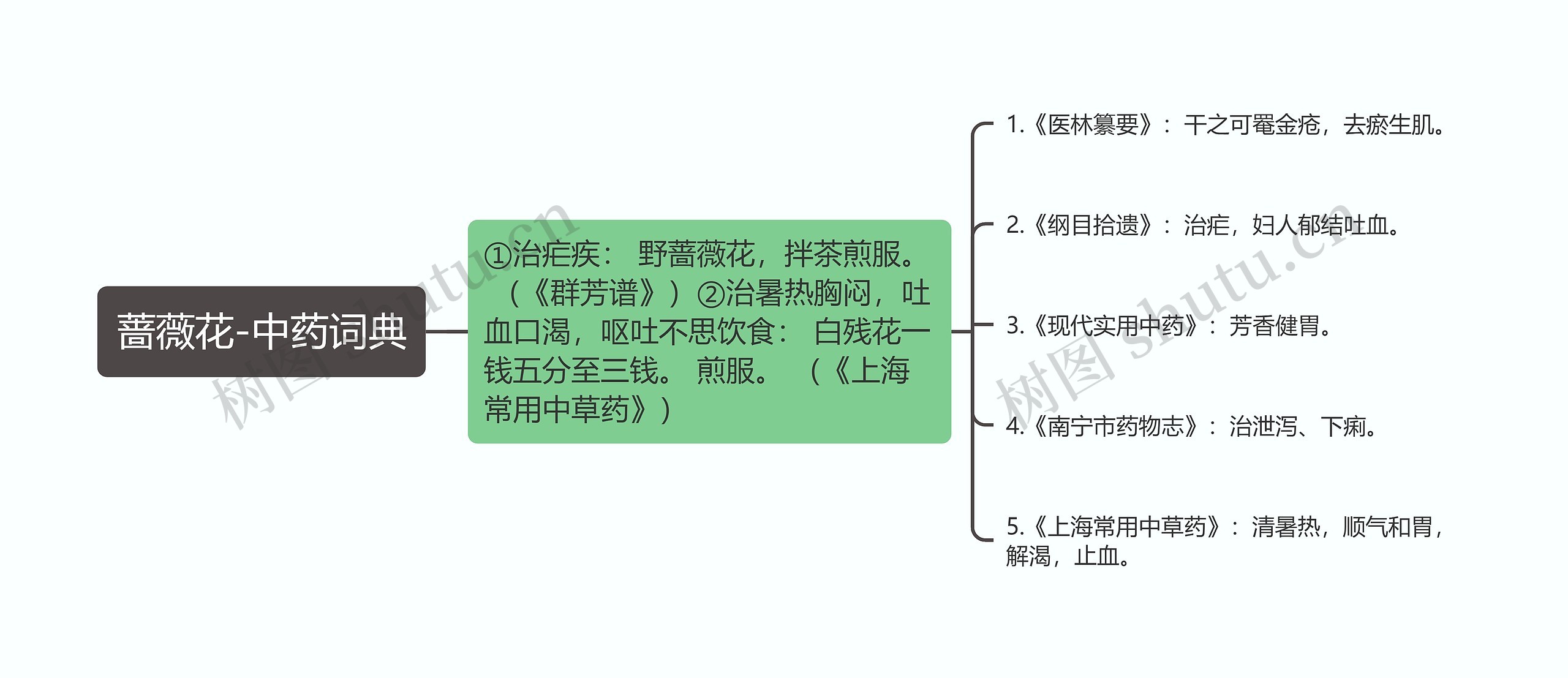 蔷薇花-中药词典思维导图