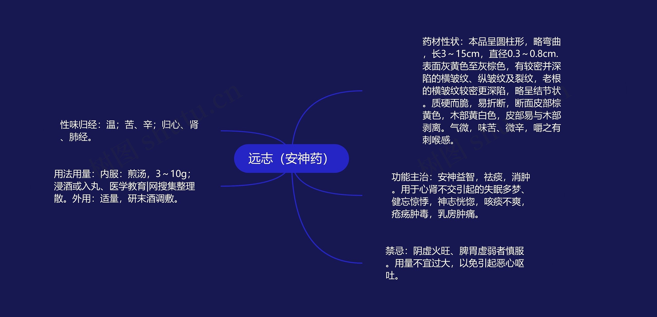 远志（安神药）思维导图