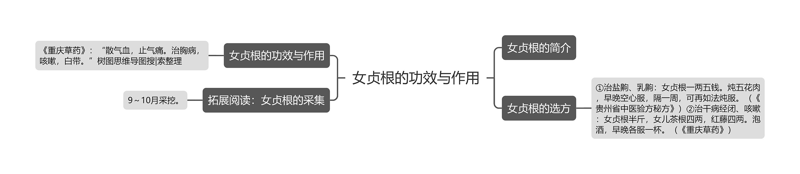 女贞根的功效与作用 女贞根的功效与作用