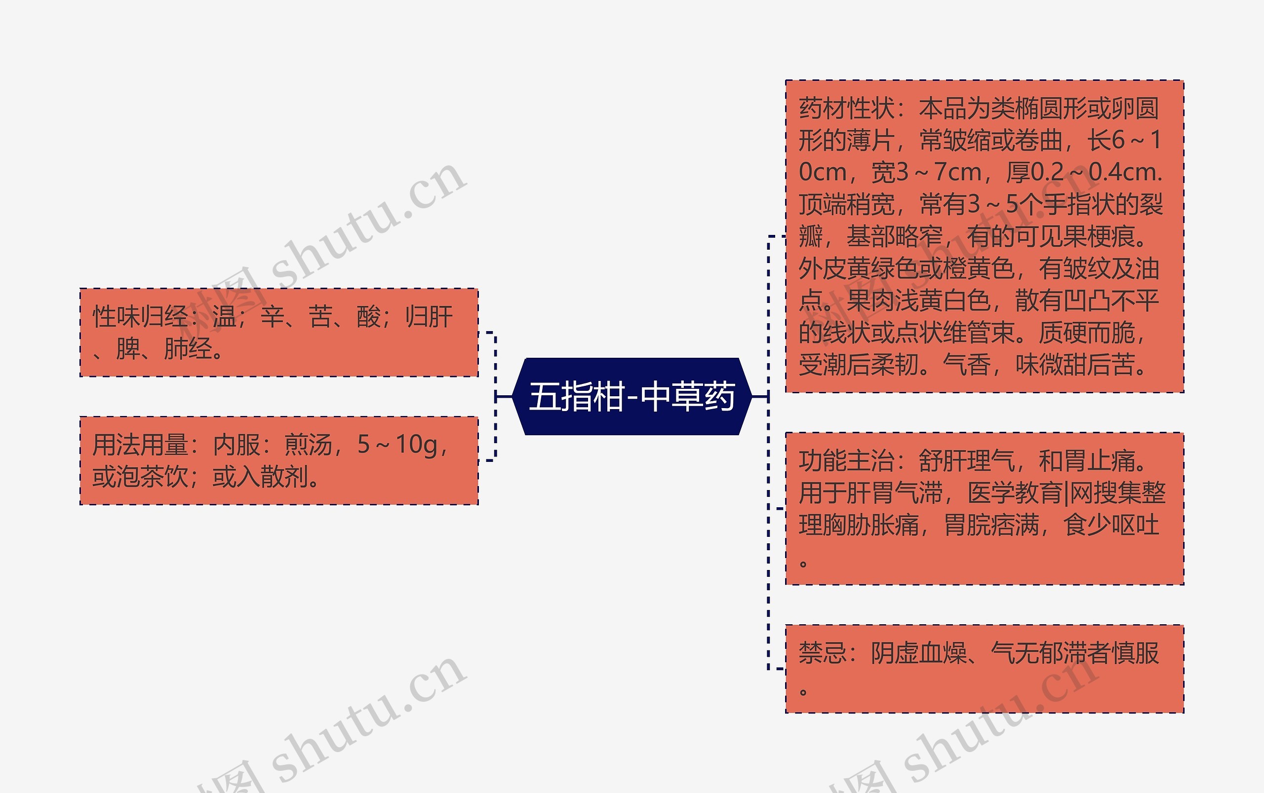 五指柑-中草药 五指柑-中草药