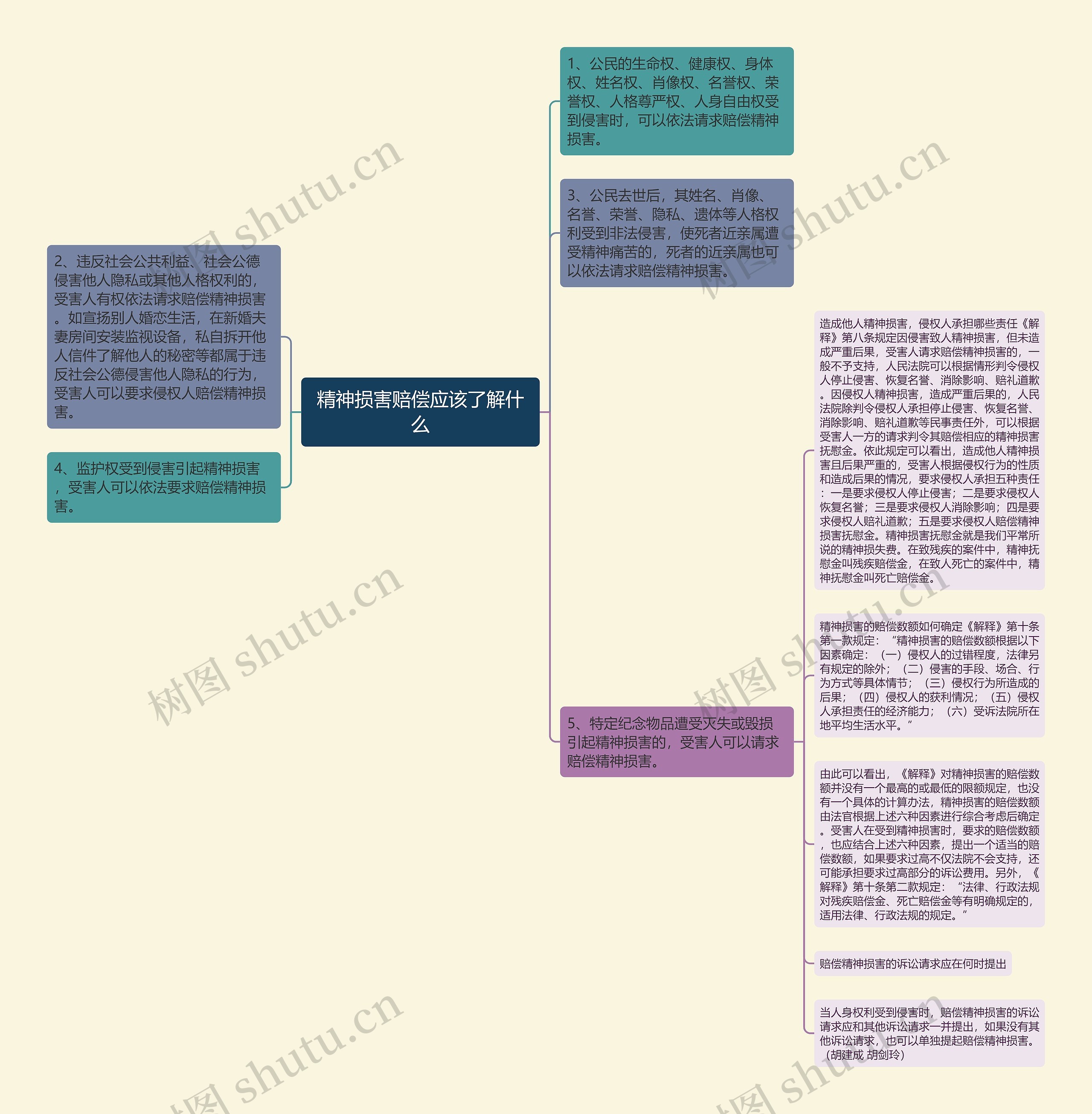 精神损害赔偿应该了解什么思维导图