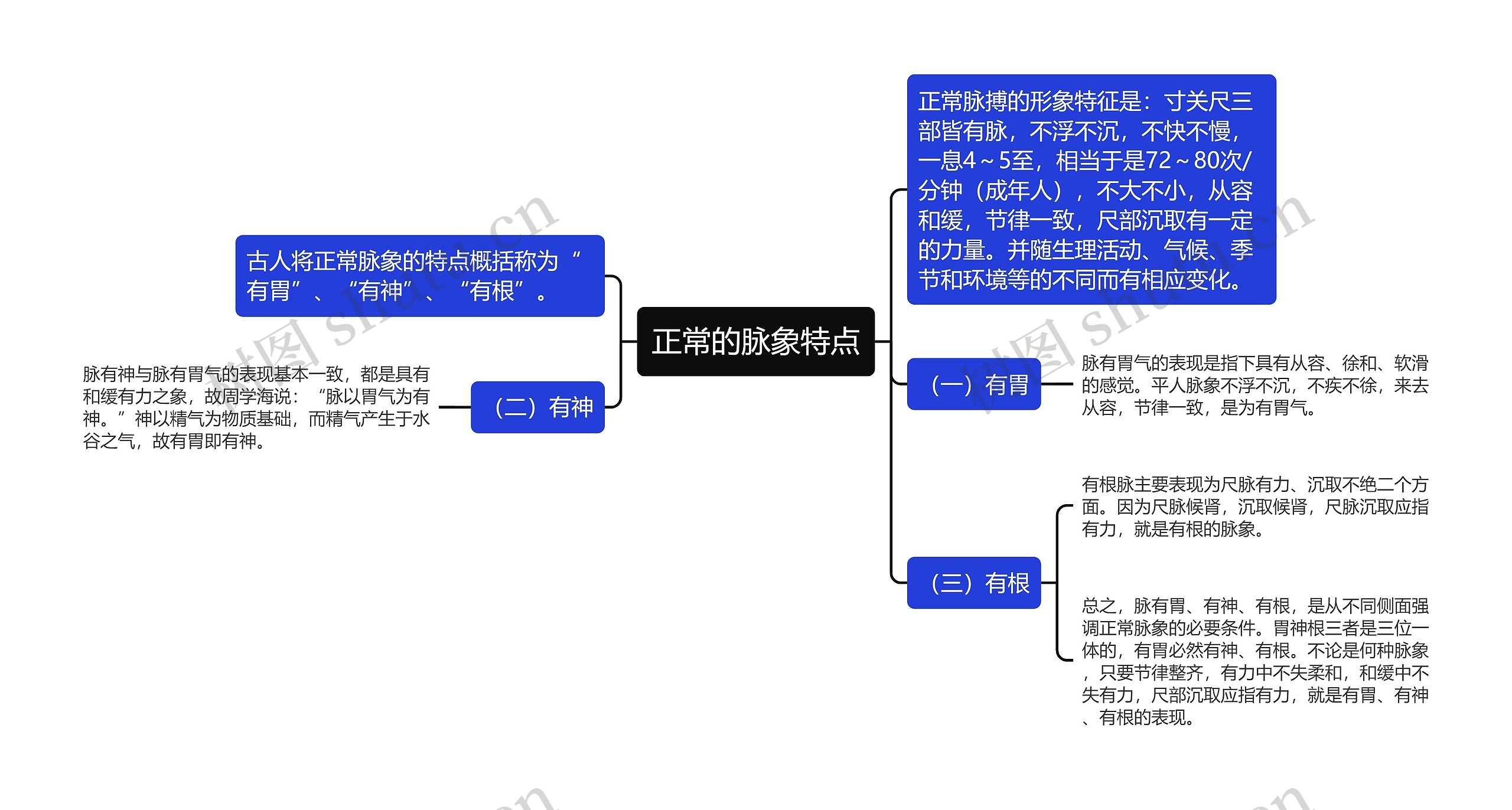 正常的脉象特点思维导图