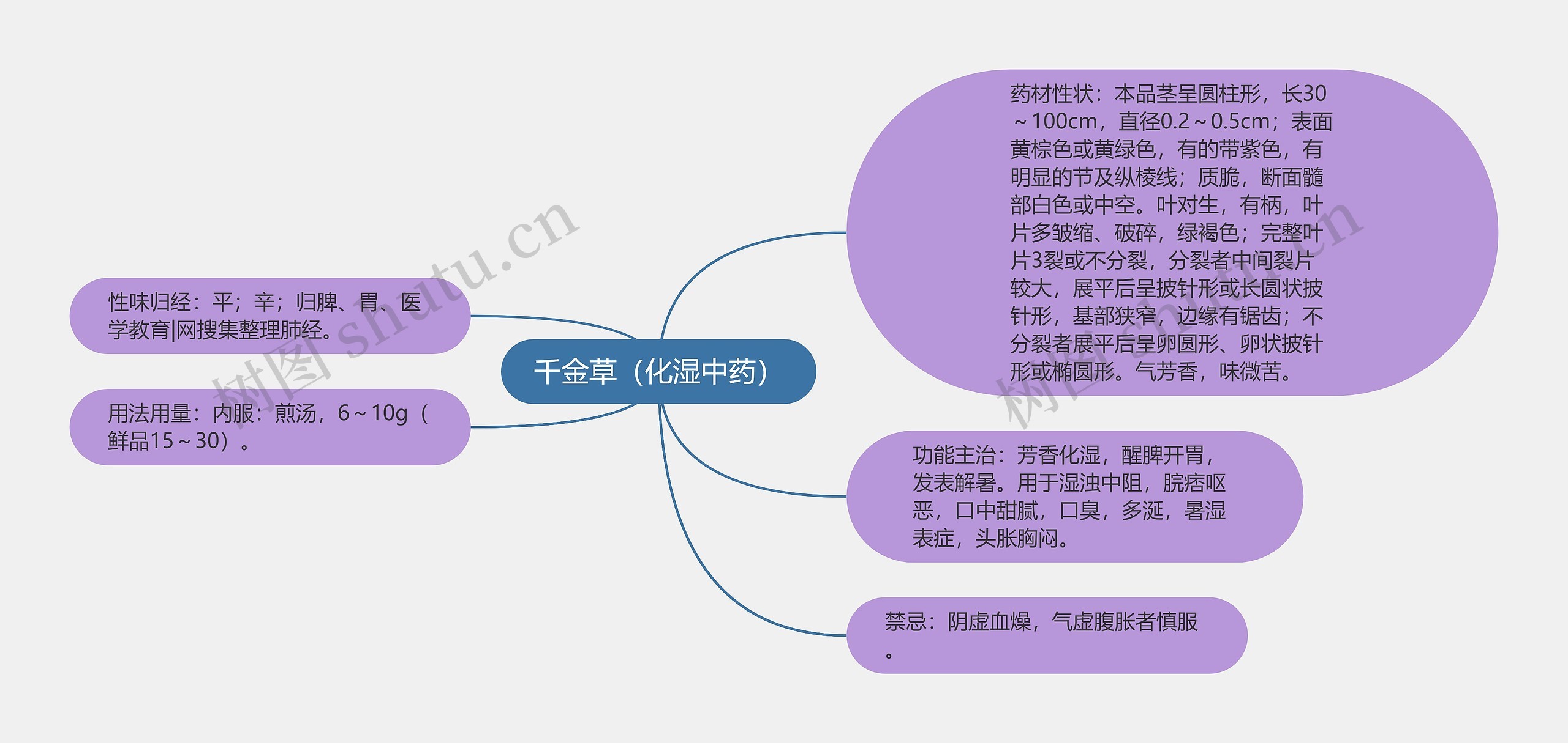 千金草（化湿中药）思维导图