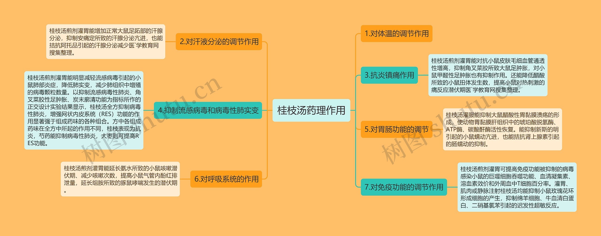 桂枝汤药理作用思维导图