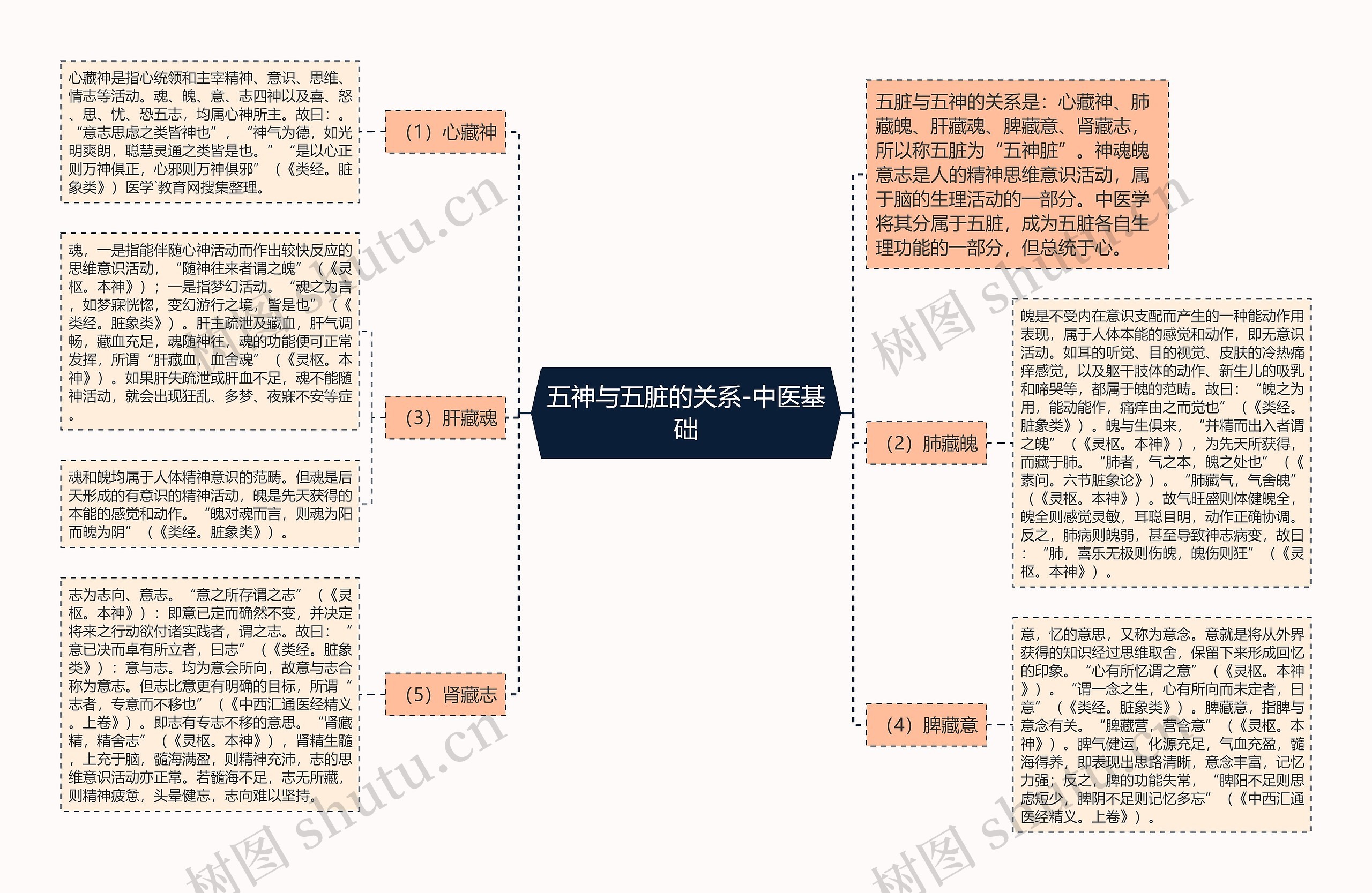 五神与五脏的关系-中医基础