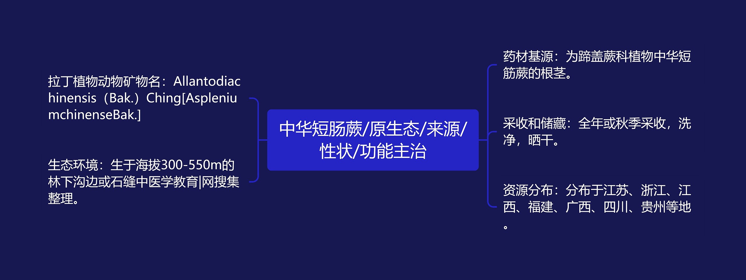 中华短肠蕨/原生态/来源/性状/功能主治思维导图