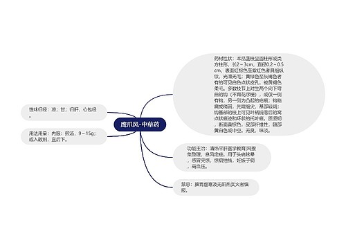 鹰爪风-中草药