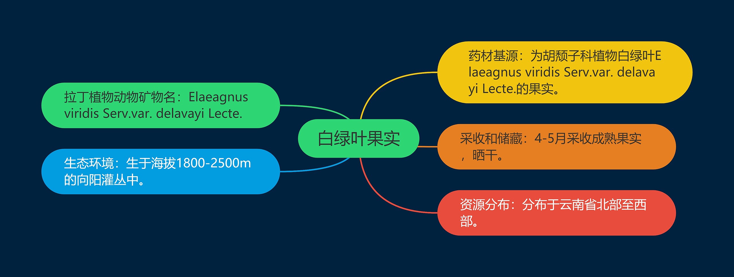 白绿叶果实思维导图