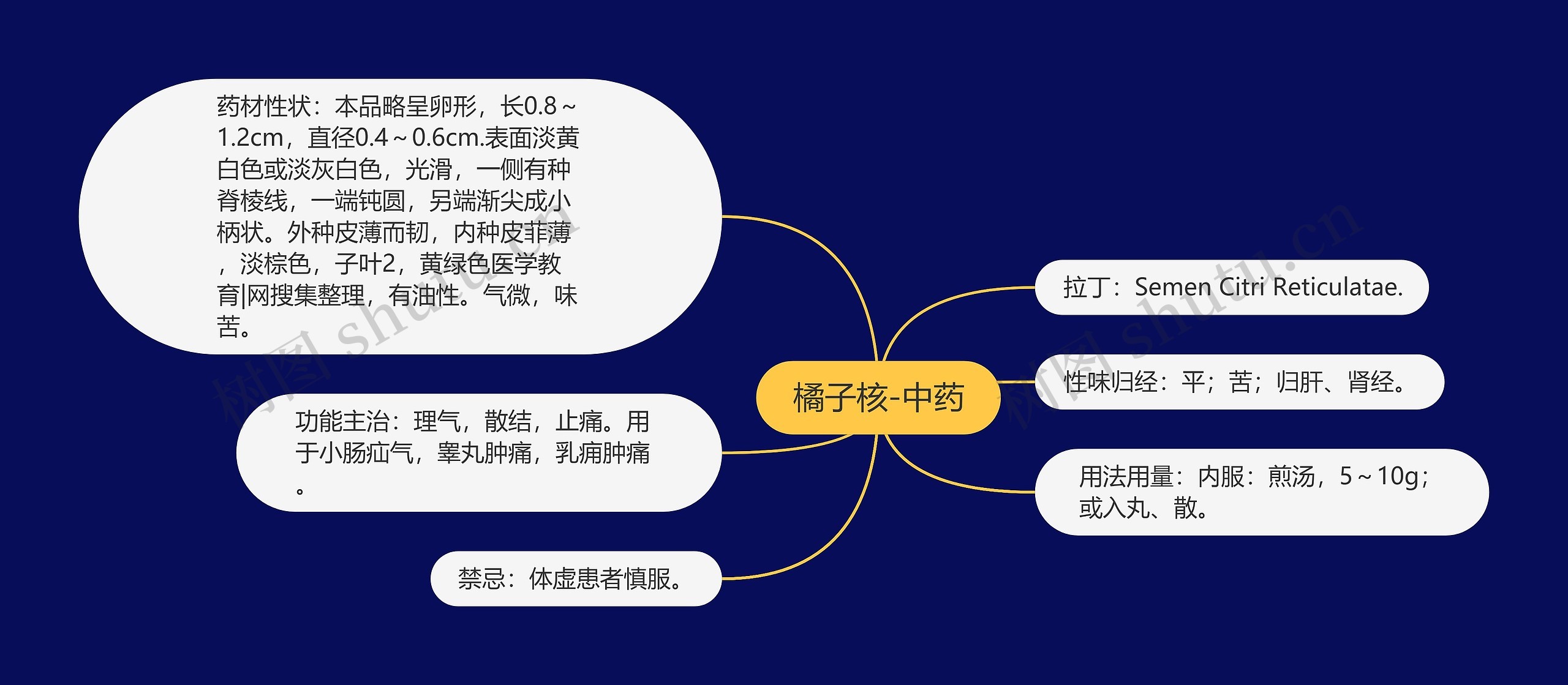 橘子核-中药 橘子核-中药