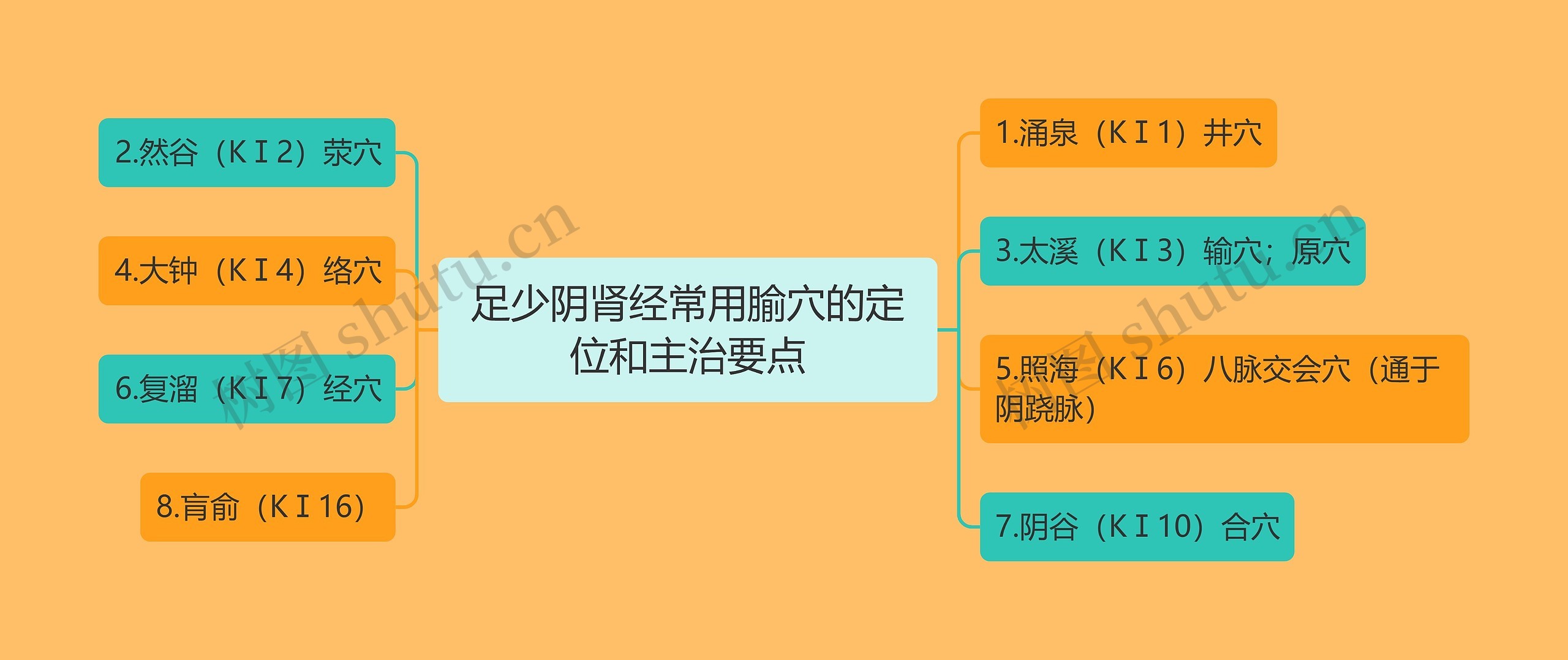 足少阴肾经常用腧穴的定位和主治要点