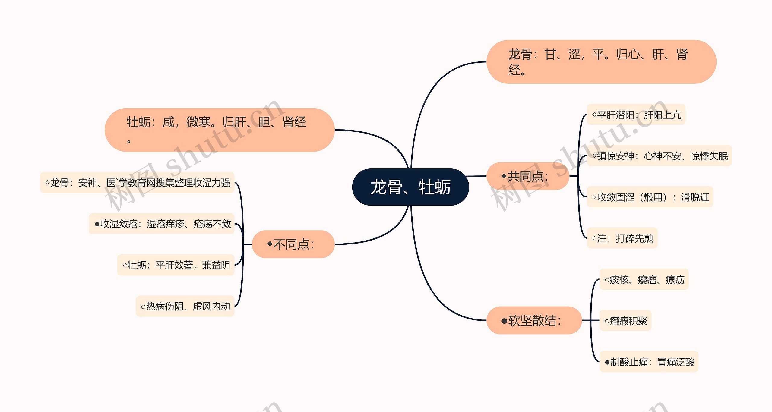 龙骨、牡蛎思维导图