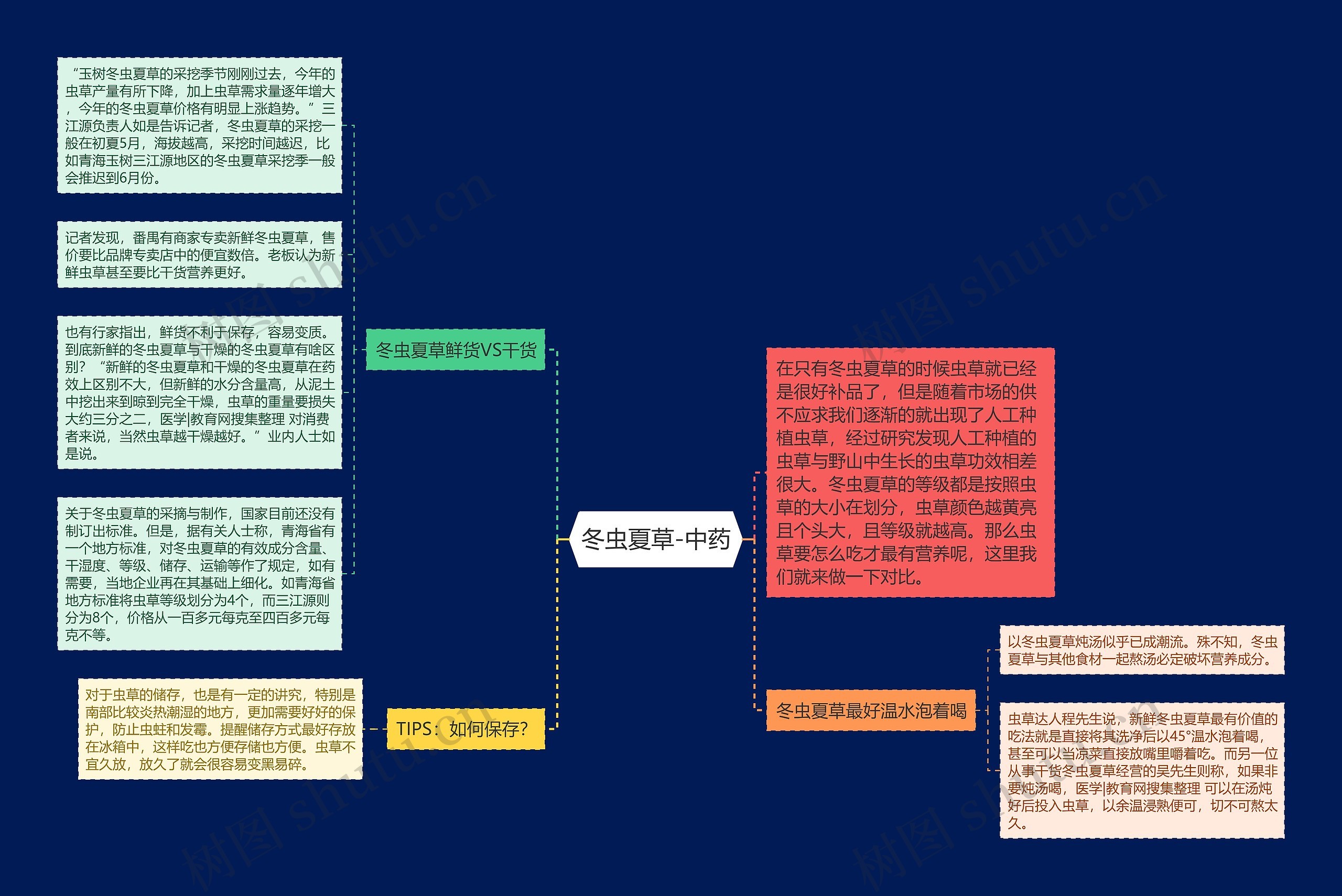 冬虫夏草-中药思维导图