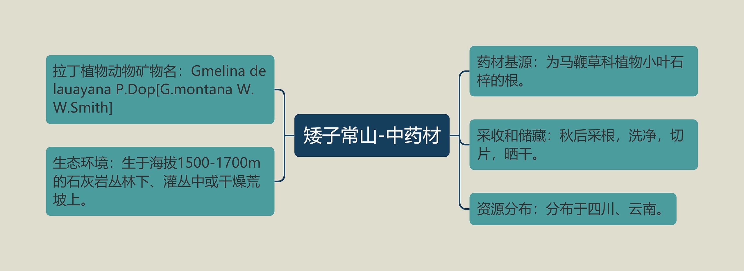 矮子常山-中药材思维导图