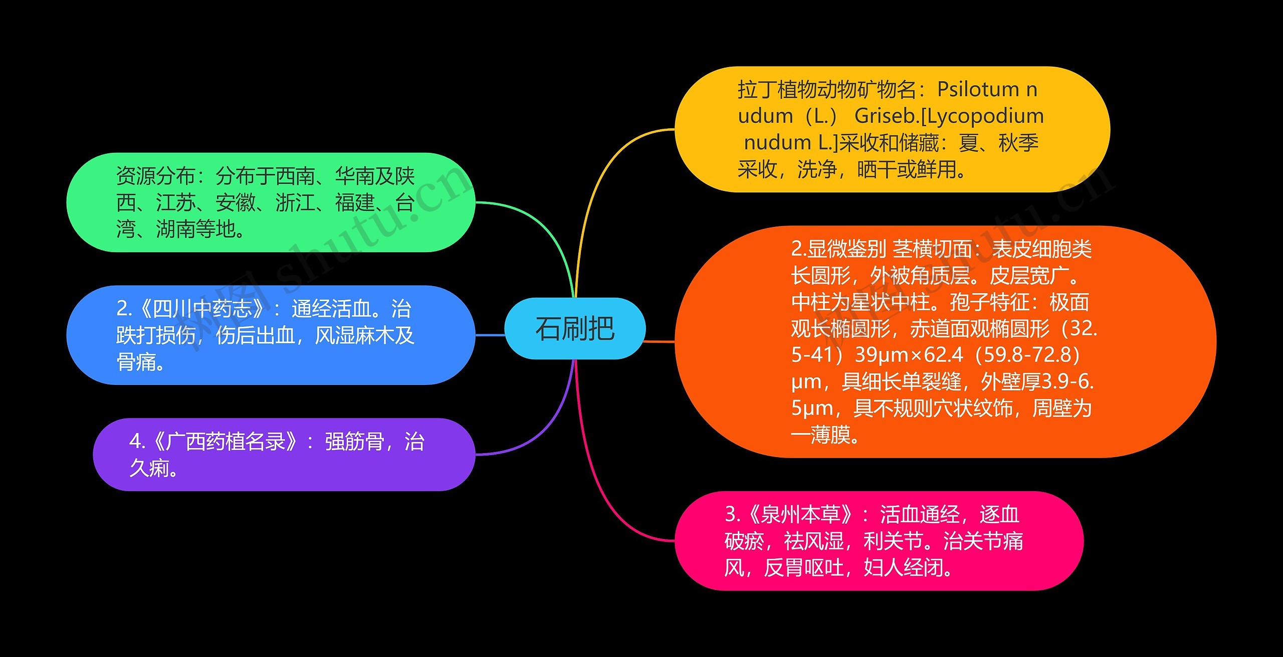 石刷把思维导图