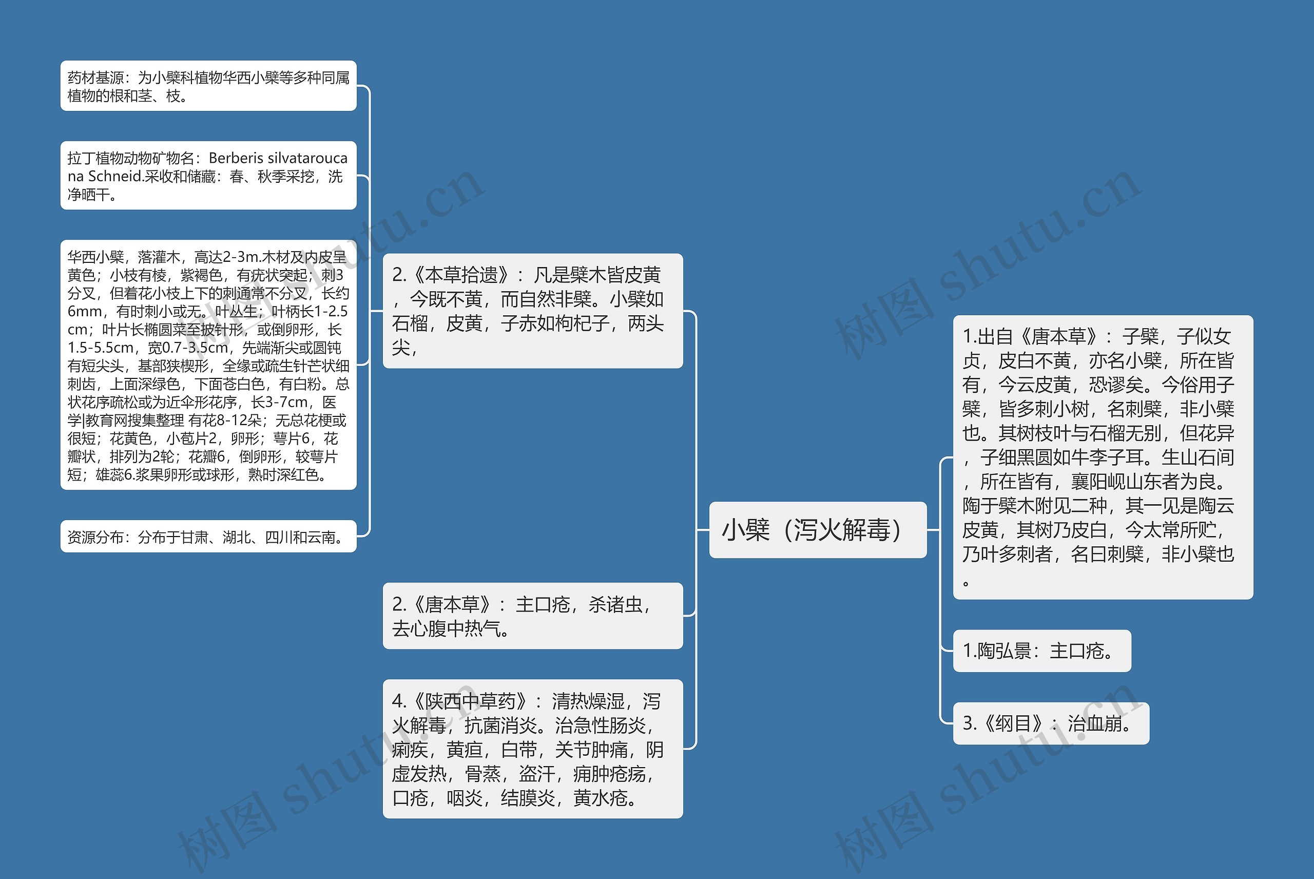 小檗（泻火解毒）思维导图