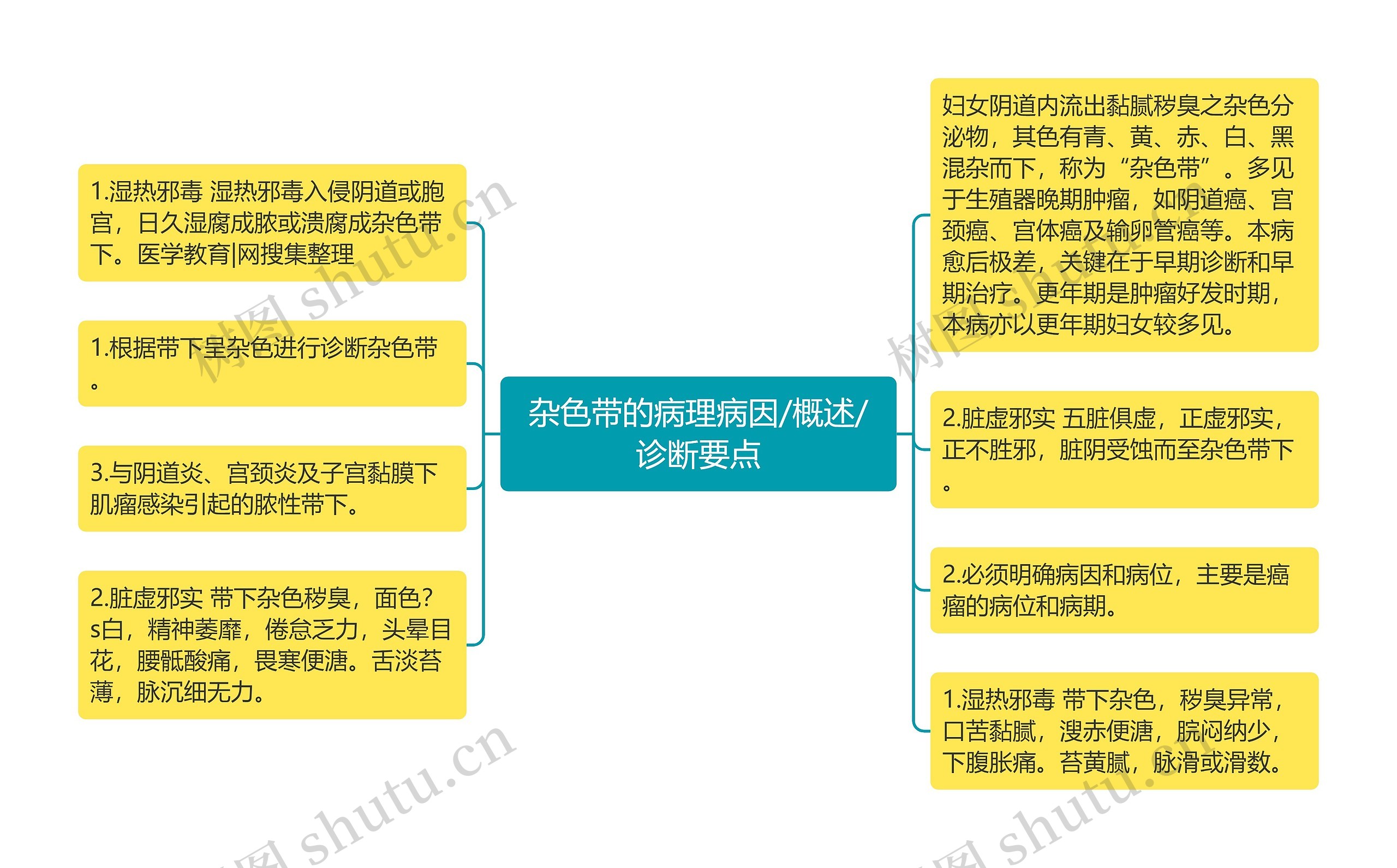 杂色带的病理病因/概述/诊断要点思维导图