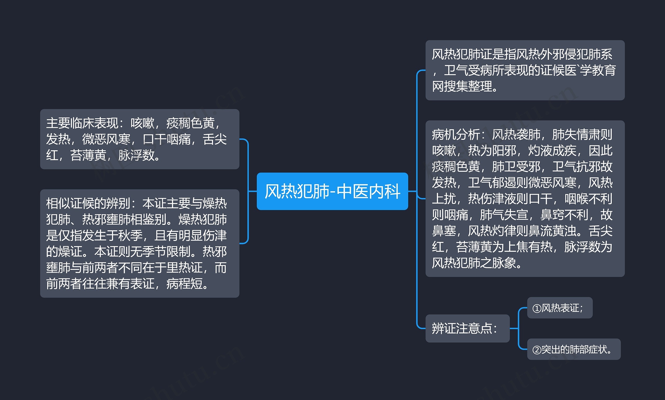 风热犯肺-中医内科