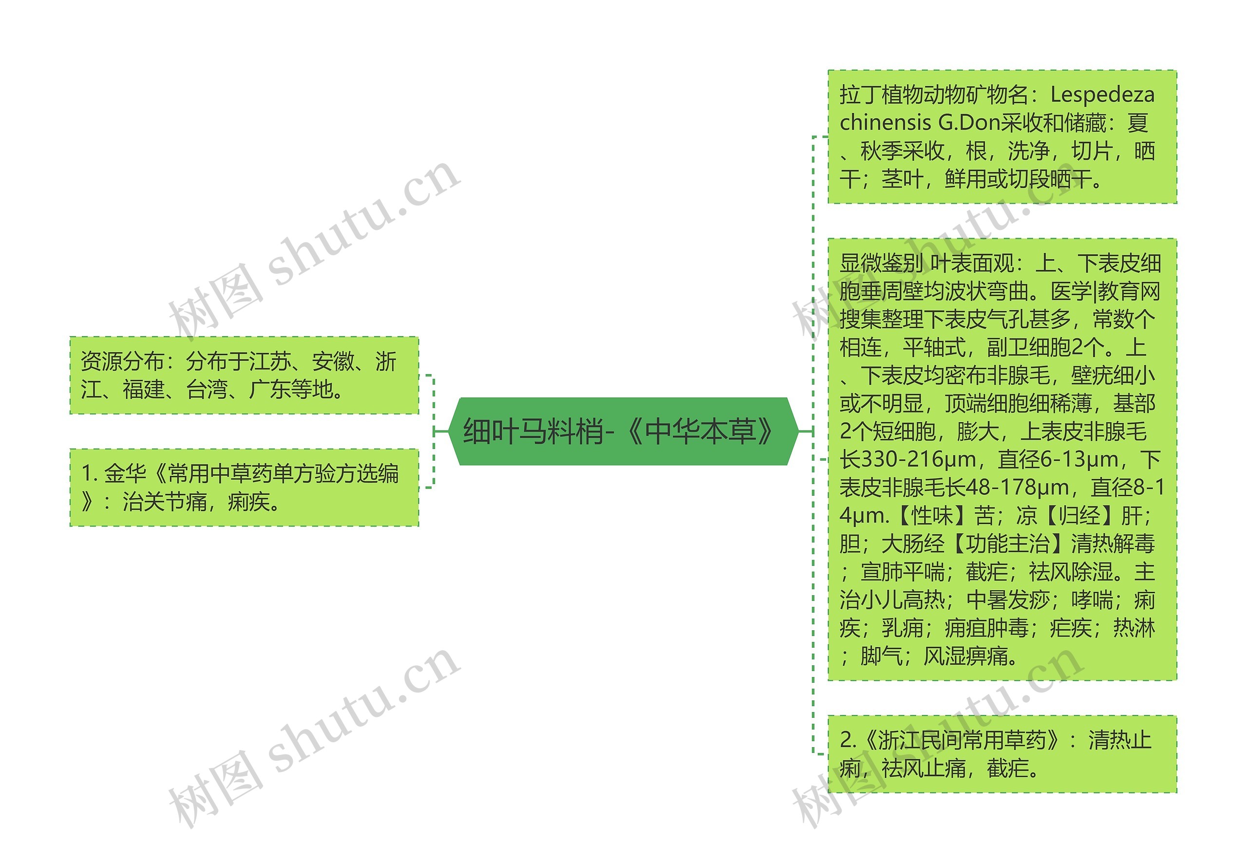 细叶马料梢-《中华本草》思维导图