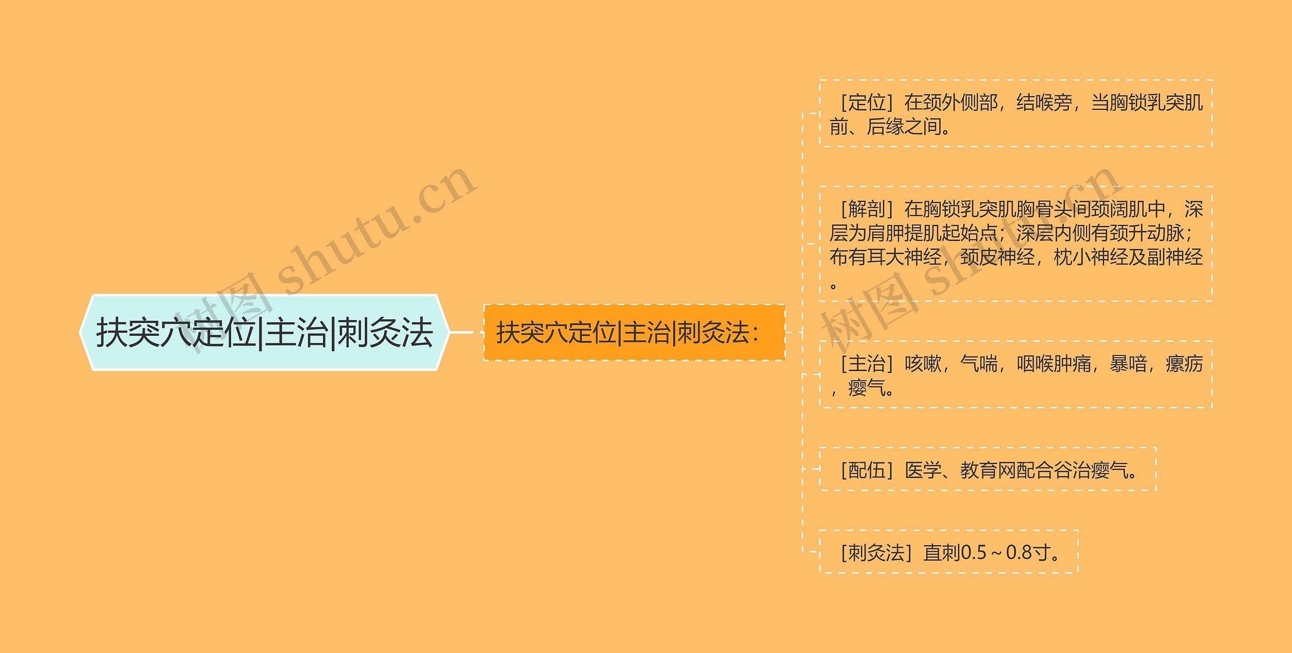 扶突穴定位|主治|刺灸法思维导图