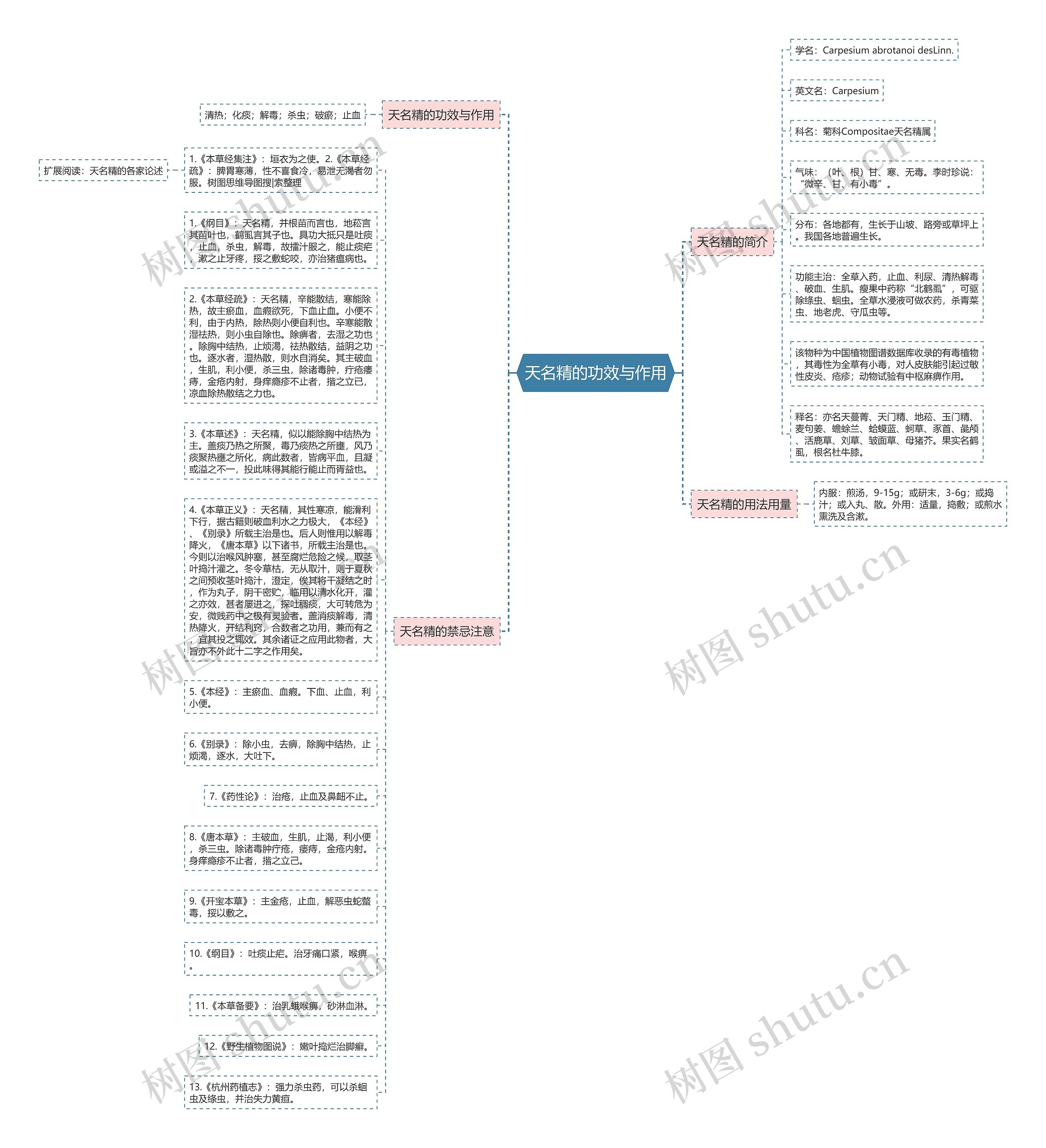 天名精的功效与作用思维导图