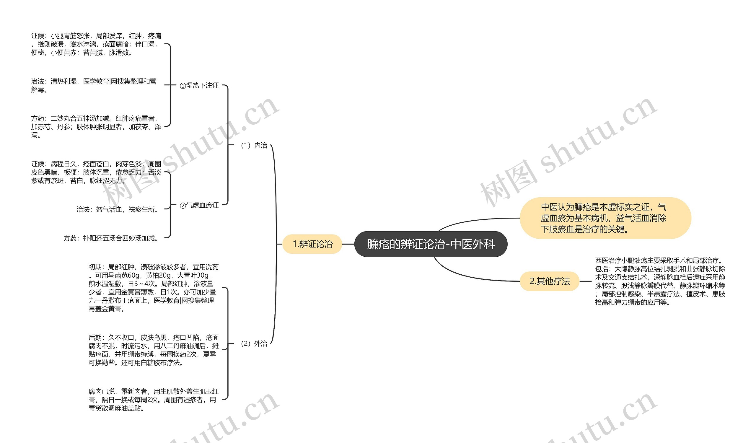臁疮的辨证论治-中医外科思维导图