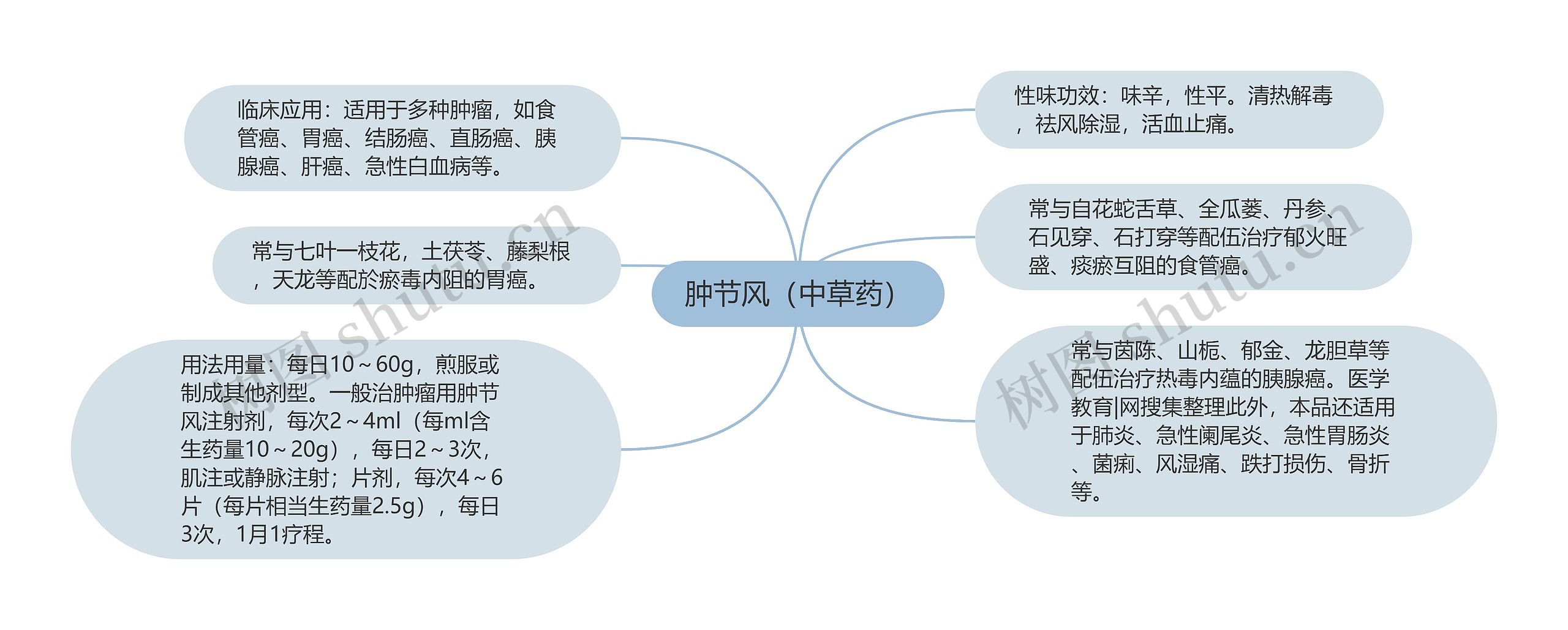 肿节风（中草药）思维导图