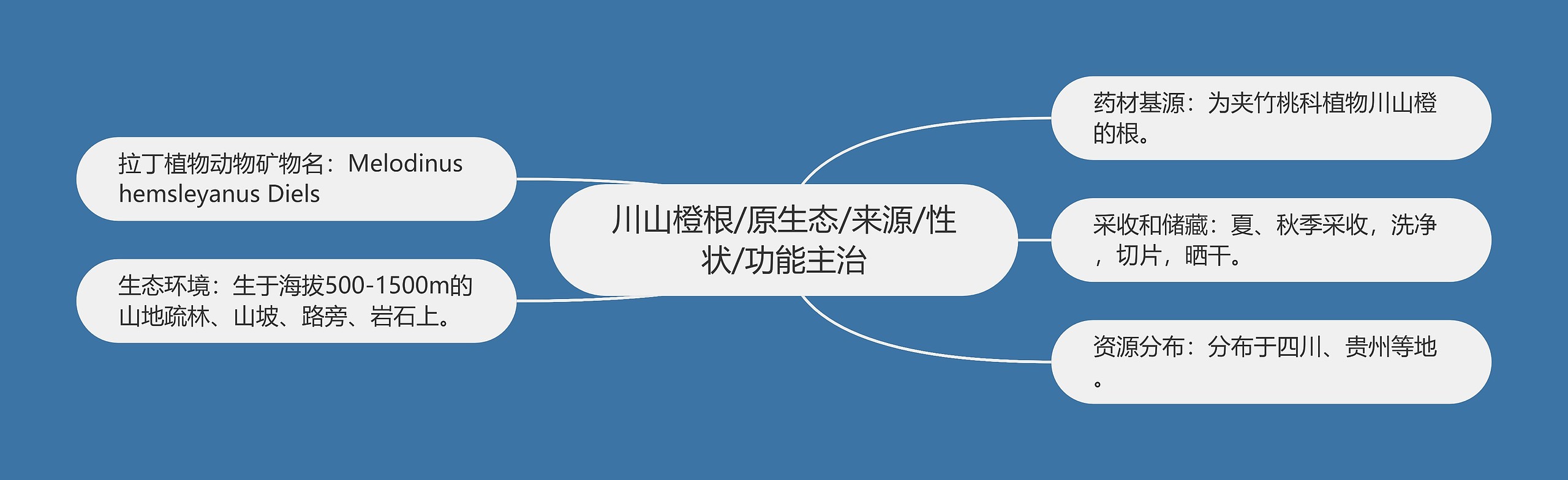 川山橙根/原生态/来源/性状/功能主治 川山橙根/原生态/来源/性状/功能主治