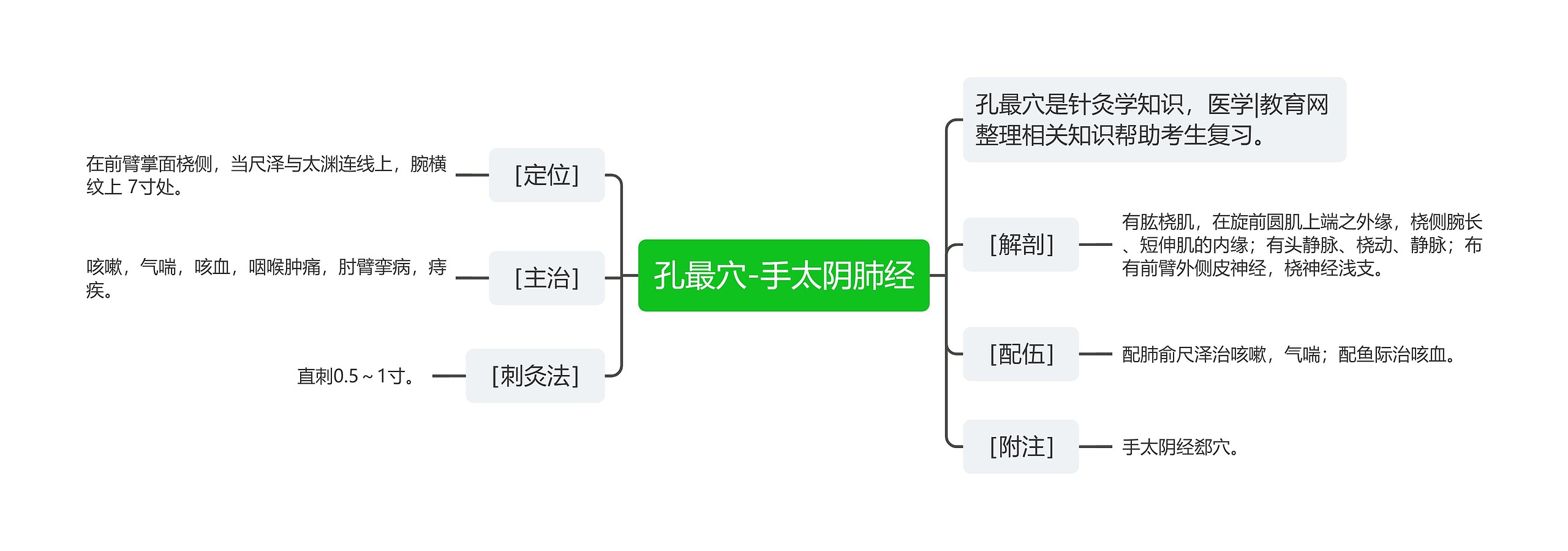 孔最穴-手太阴肺经思维导图