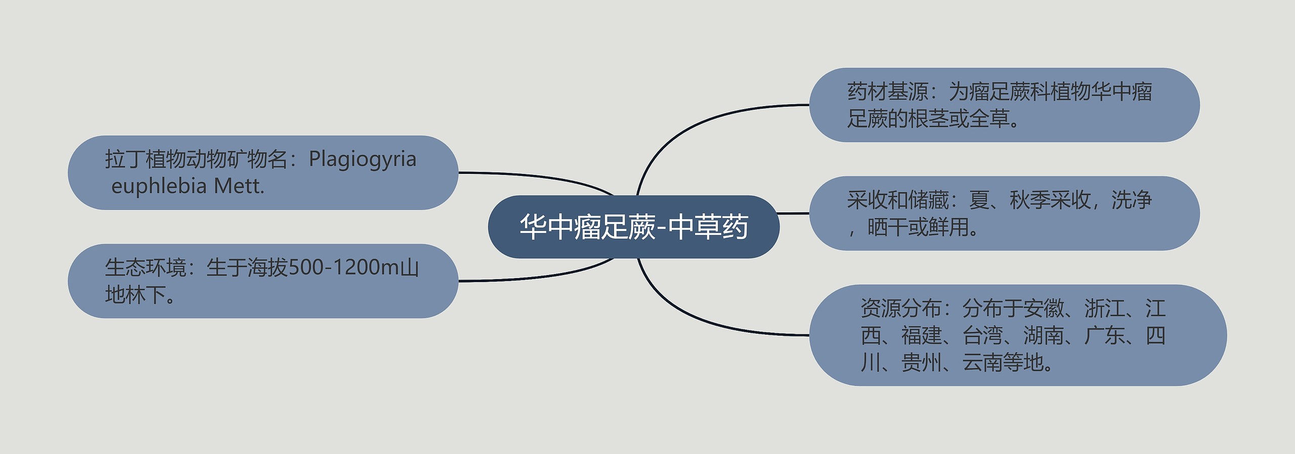 华中瘤足蕨-中草药