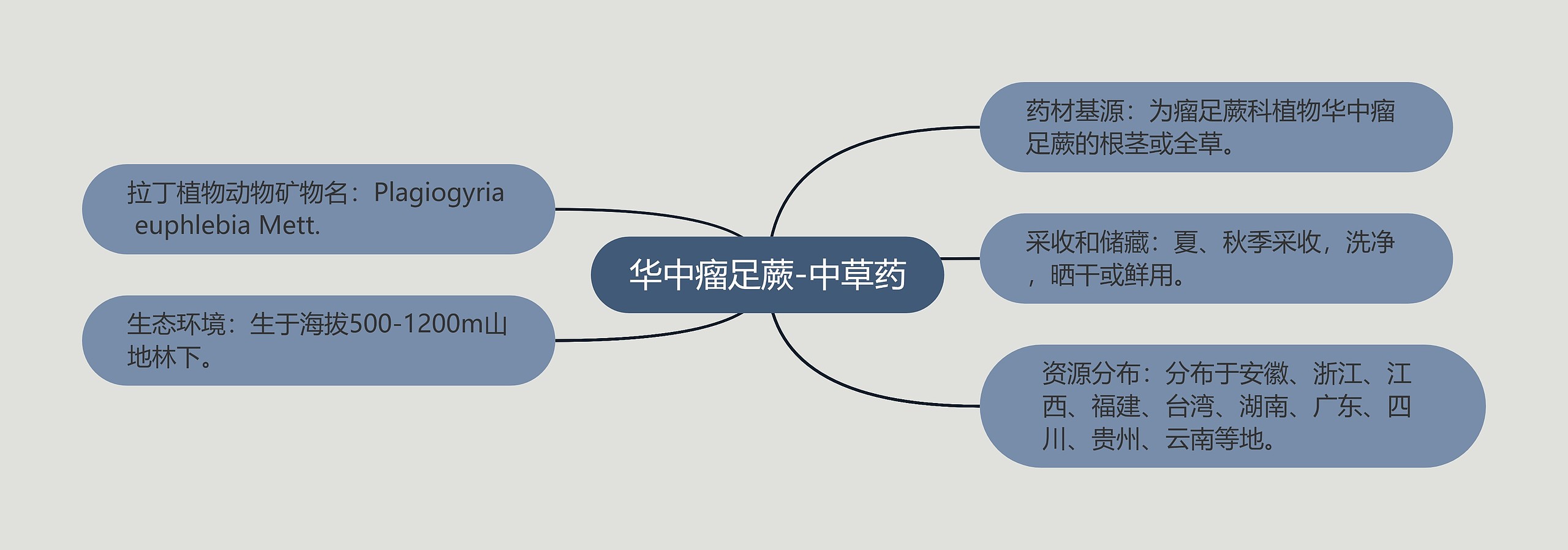 华中瘤足蕨-中草药思维导图