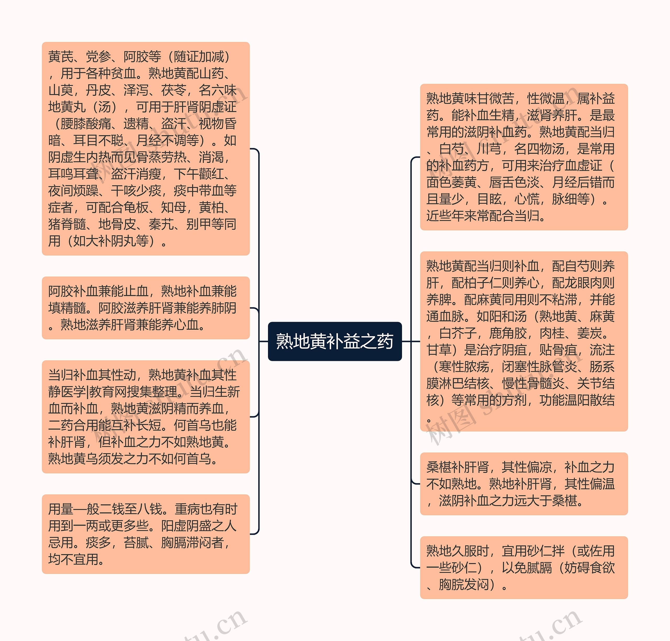 熟地黄补益之药思维导图