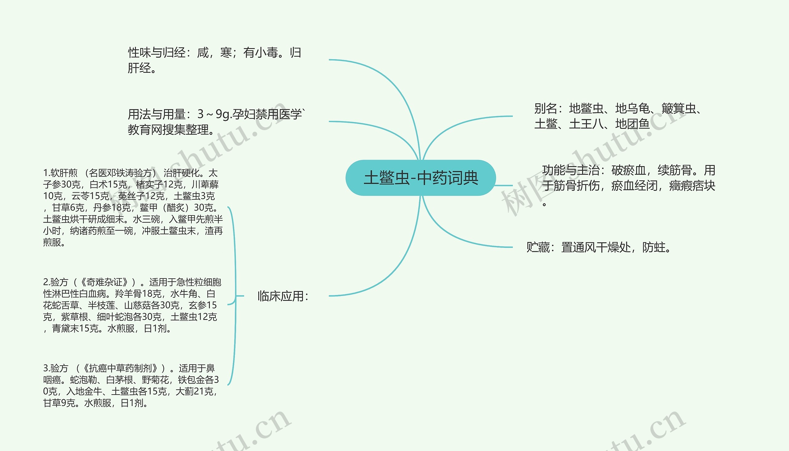 土鳖虫-中药词典思维导图