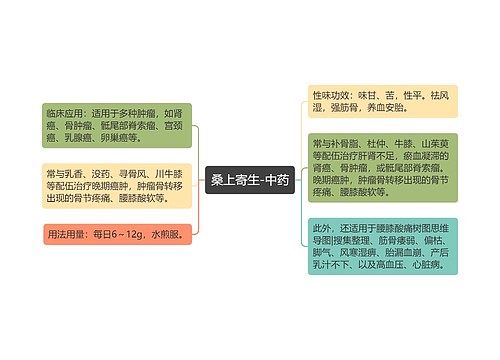 桑上寄生-中药