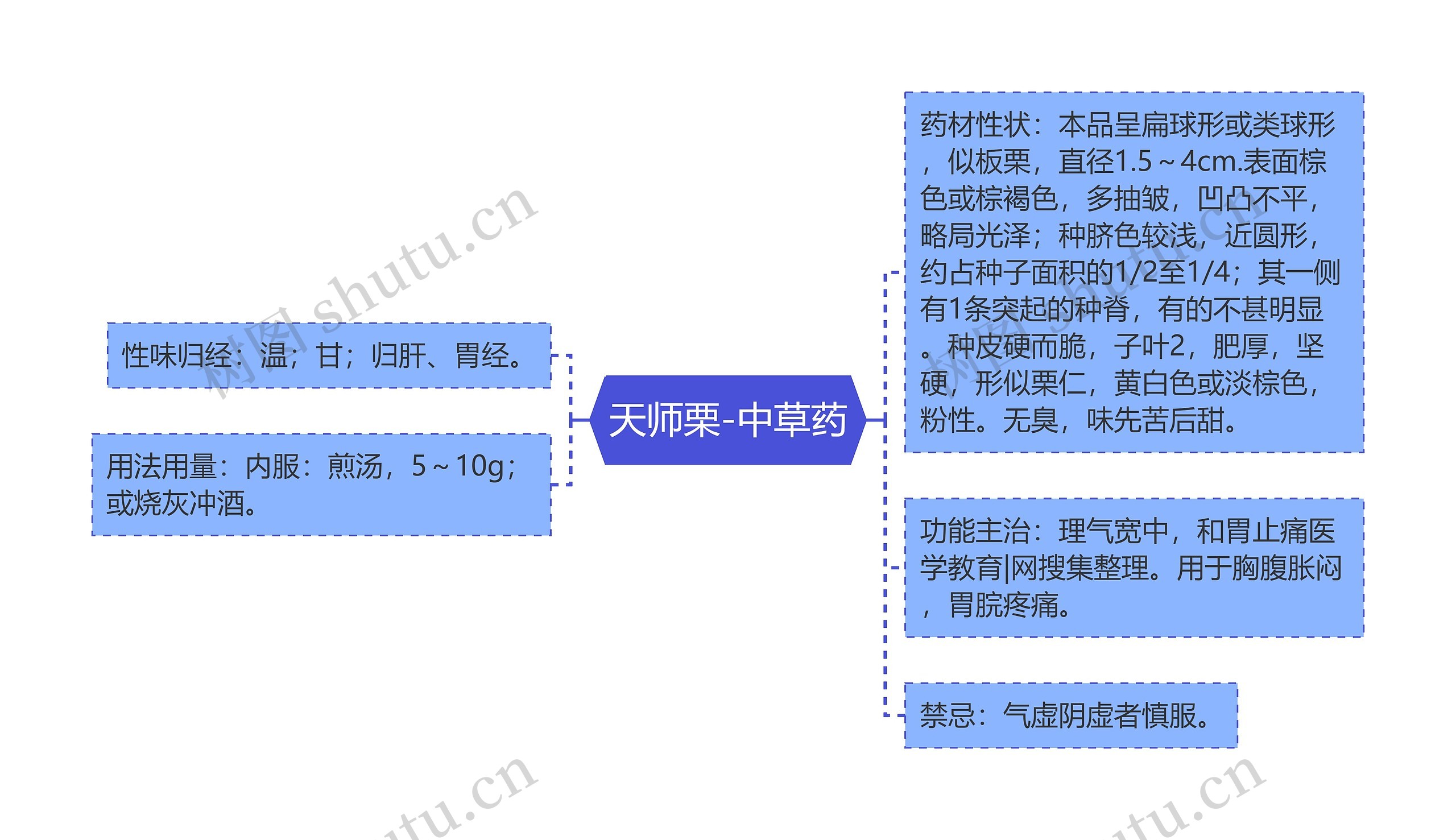 天师栗-中草药 天师栗-中草药