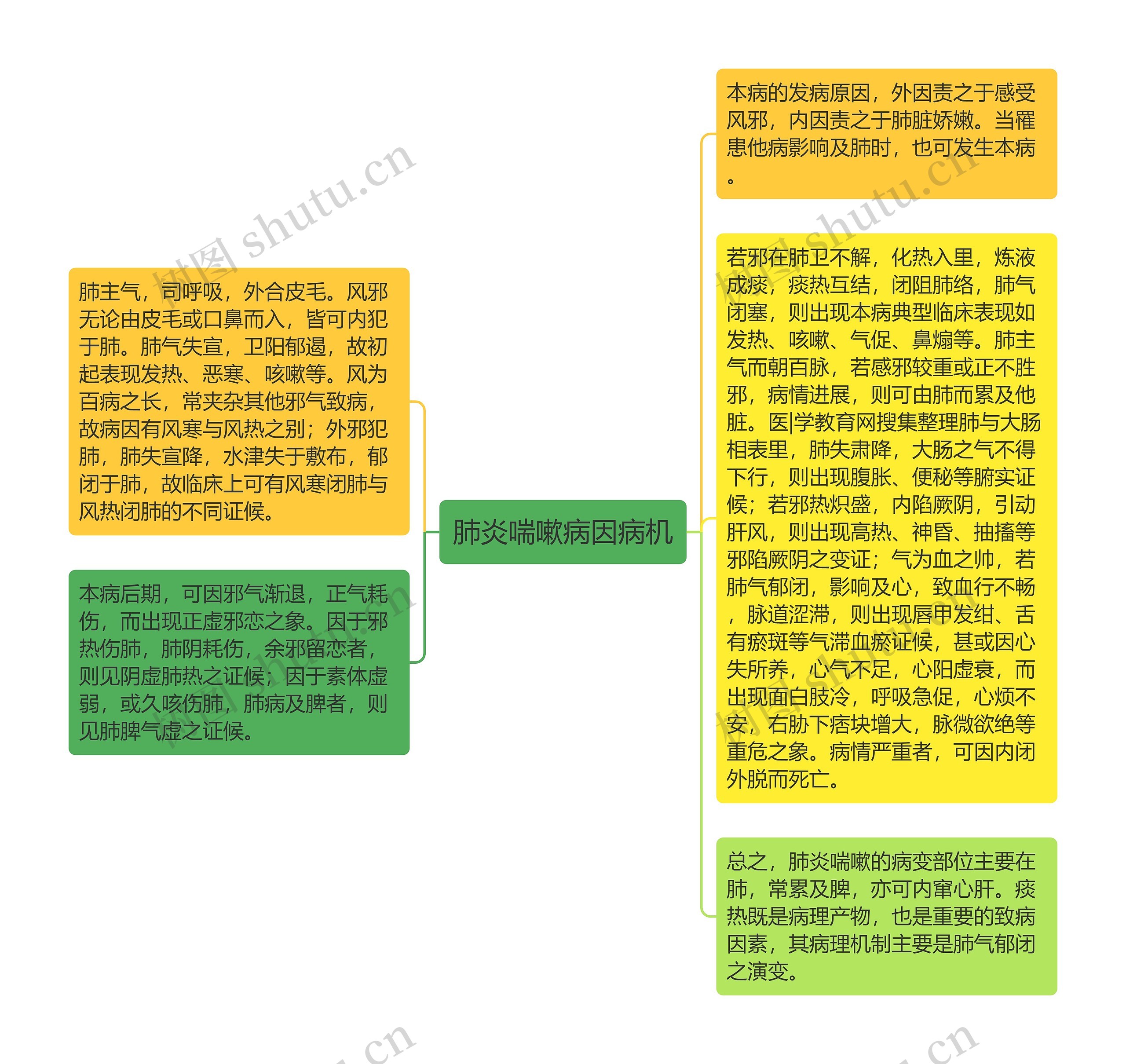 肺炎喘嗽病因病机思维导图