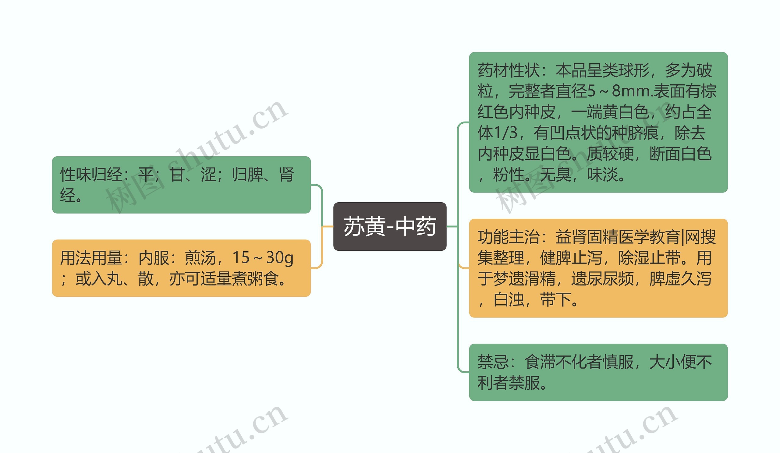 苏黄-中药思维导图