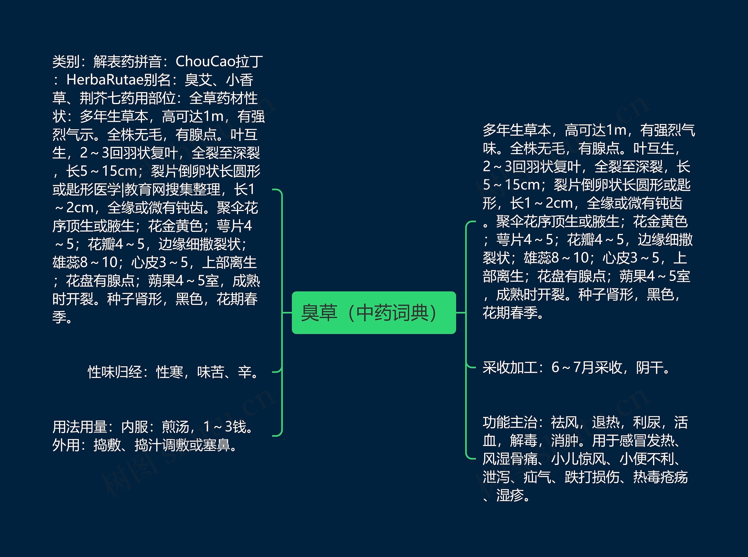 臭草（中药词典）思维导图