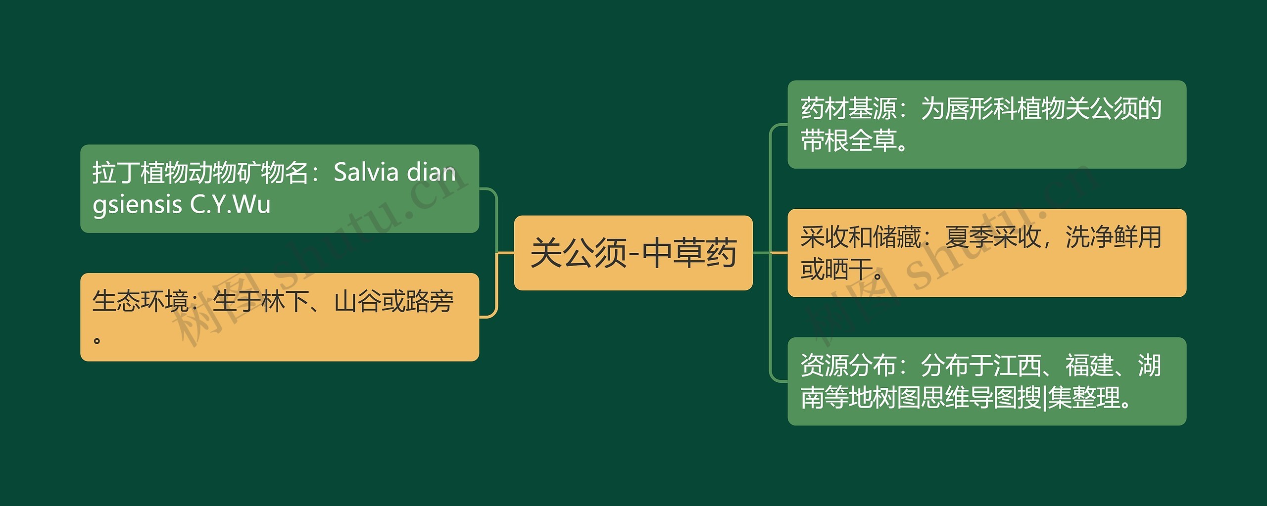 关公须-中草药思维导图