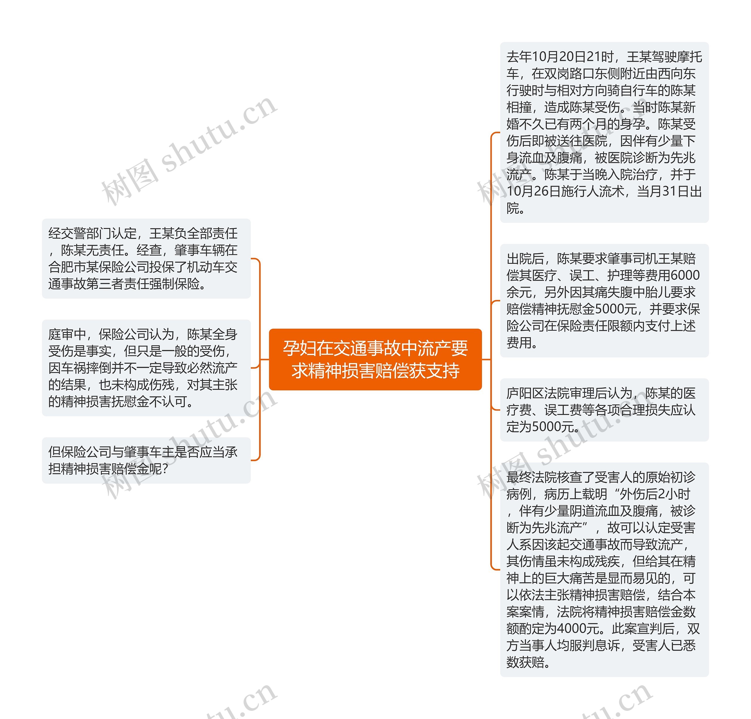 孕妇在交通事故中流产要求精神损害赔偿获支持