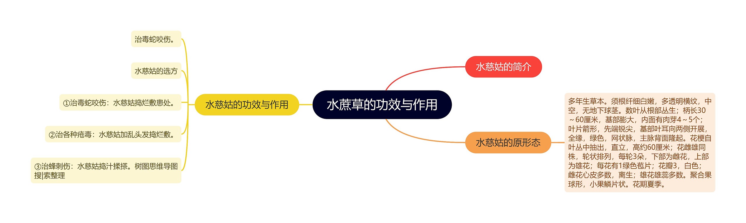 水蔗草的功效与作用思维导图