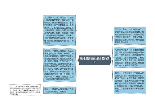 精神损害赔偿 最全面的保护